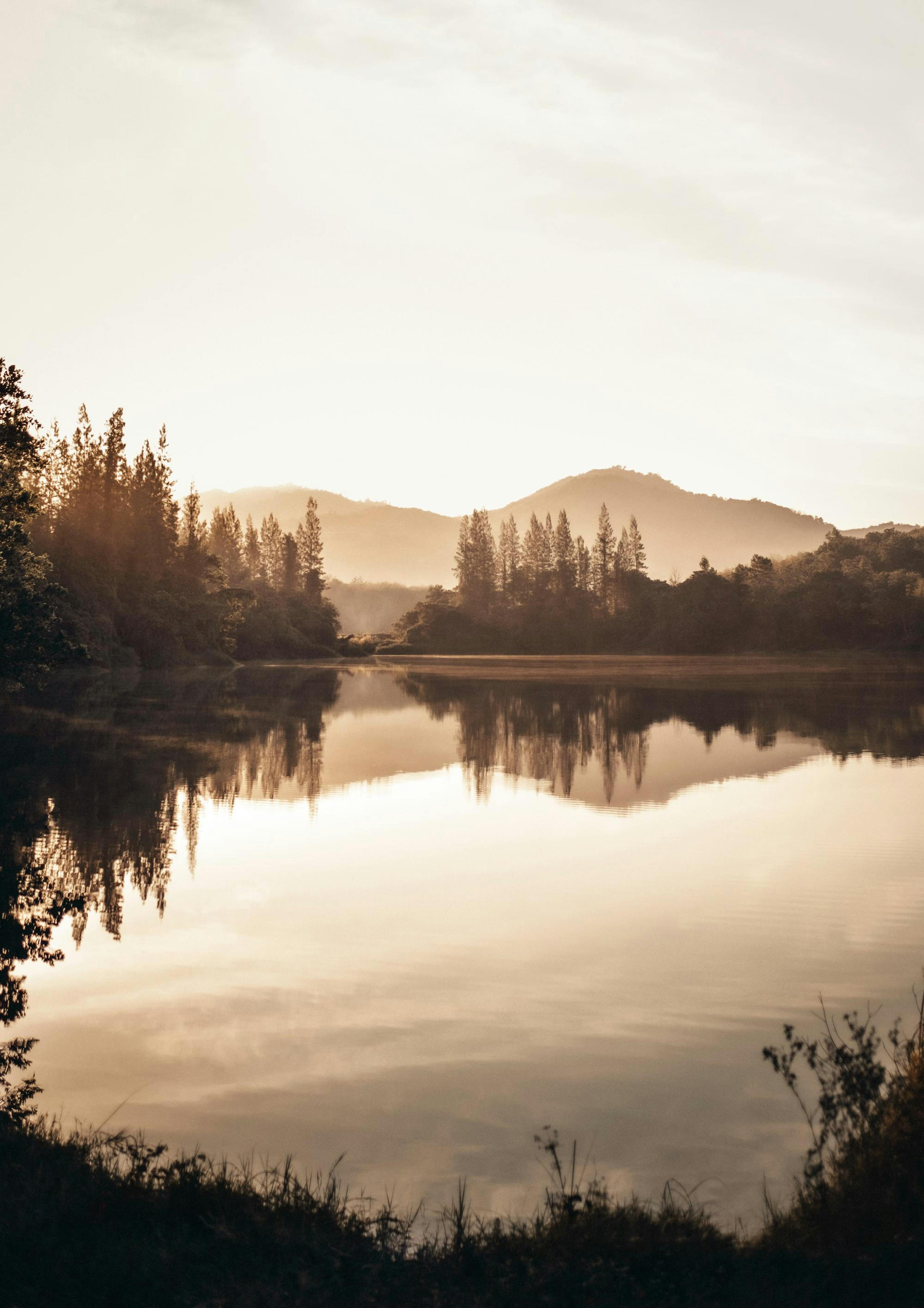 Misty Morning Lake Poster thumbnail