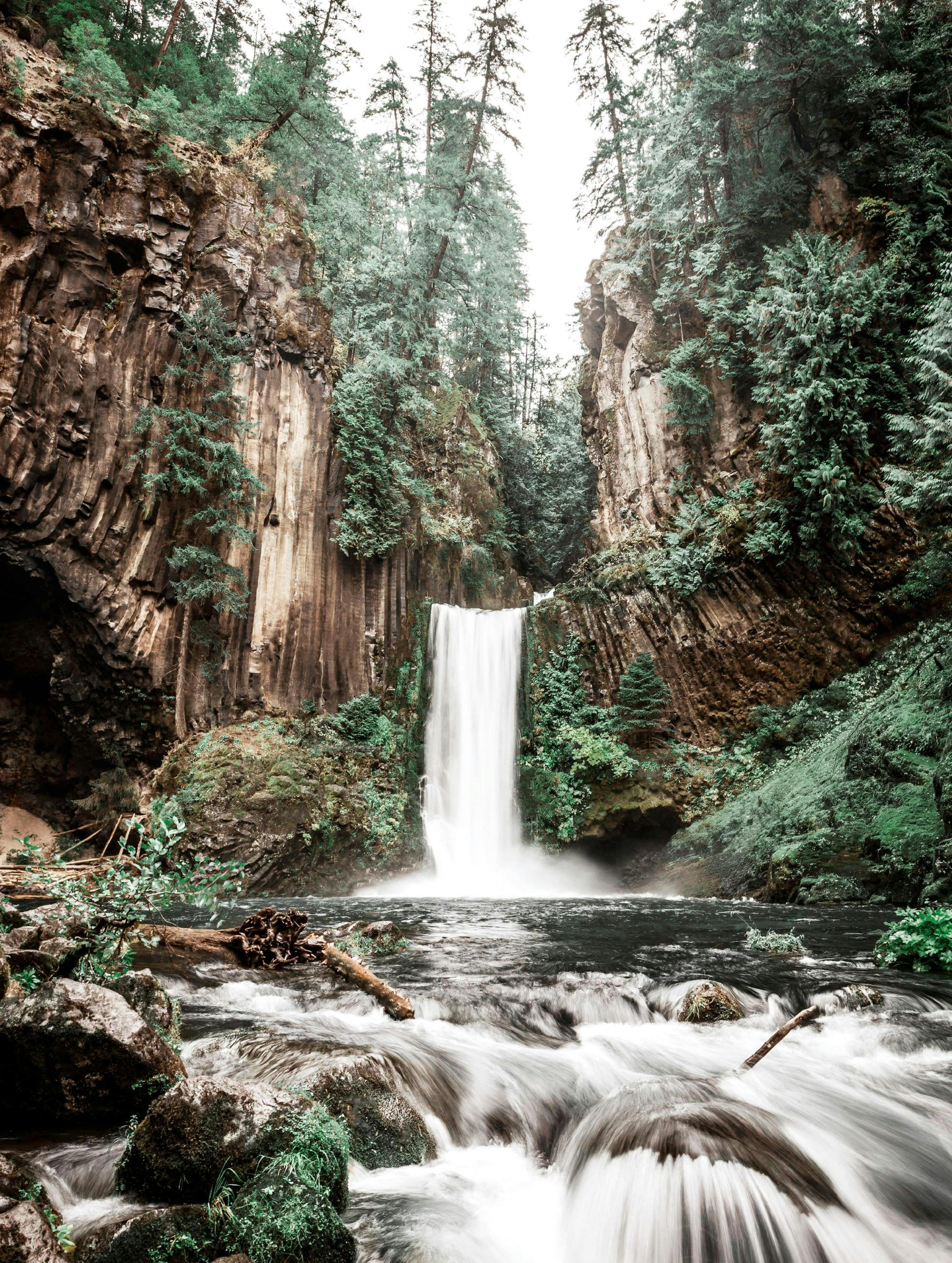 Cascade Forêt Poster 0