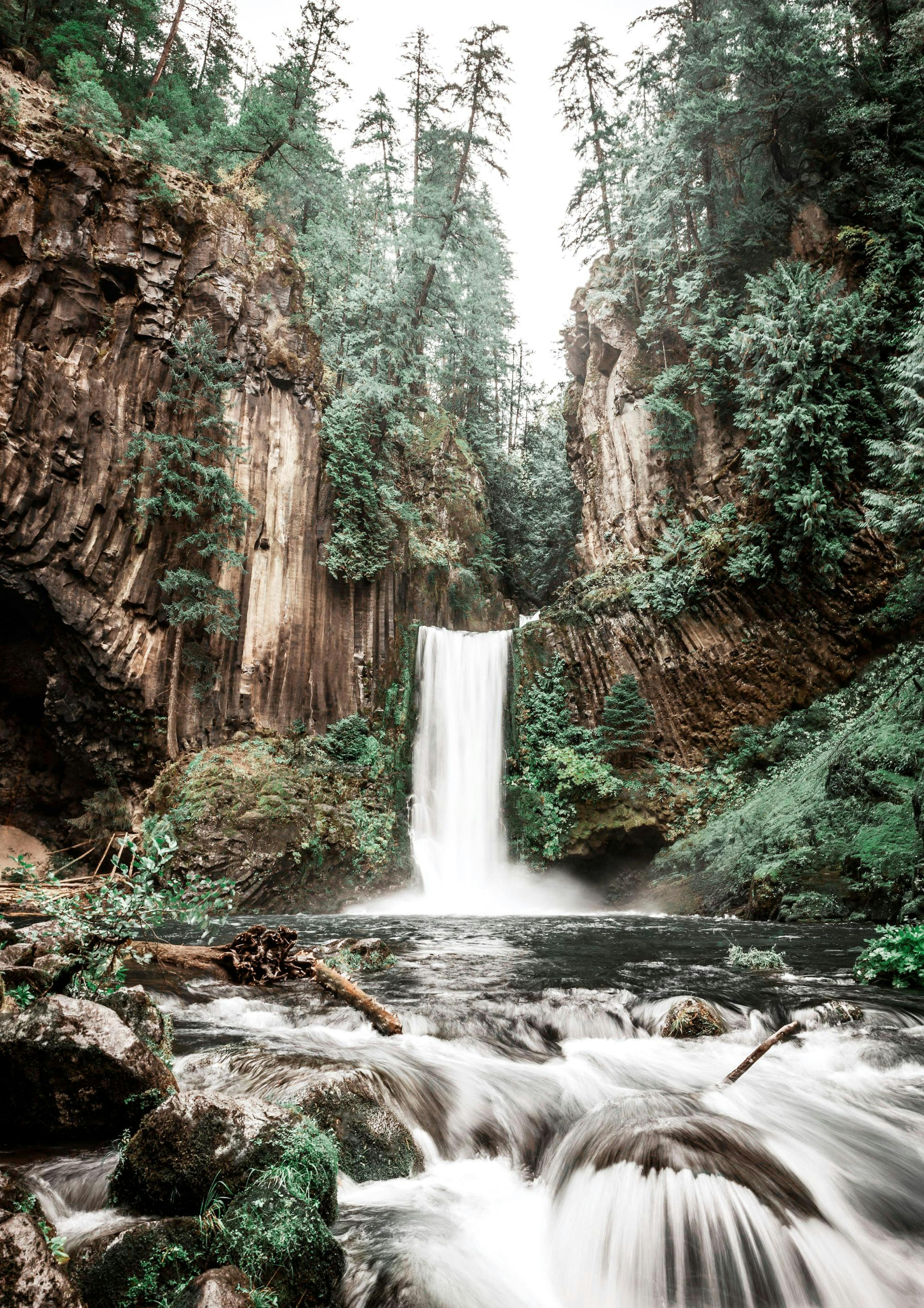 Cascade Forêt Poster 0