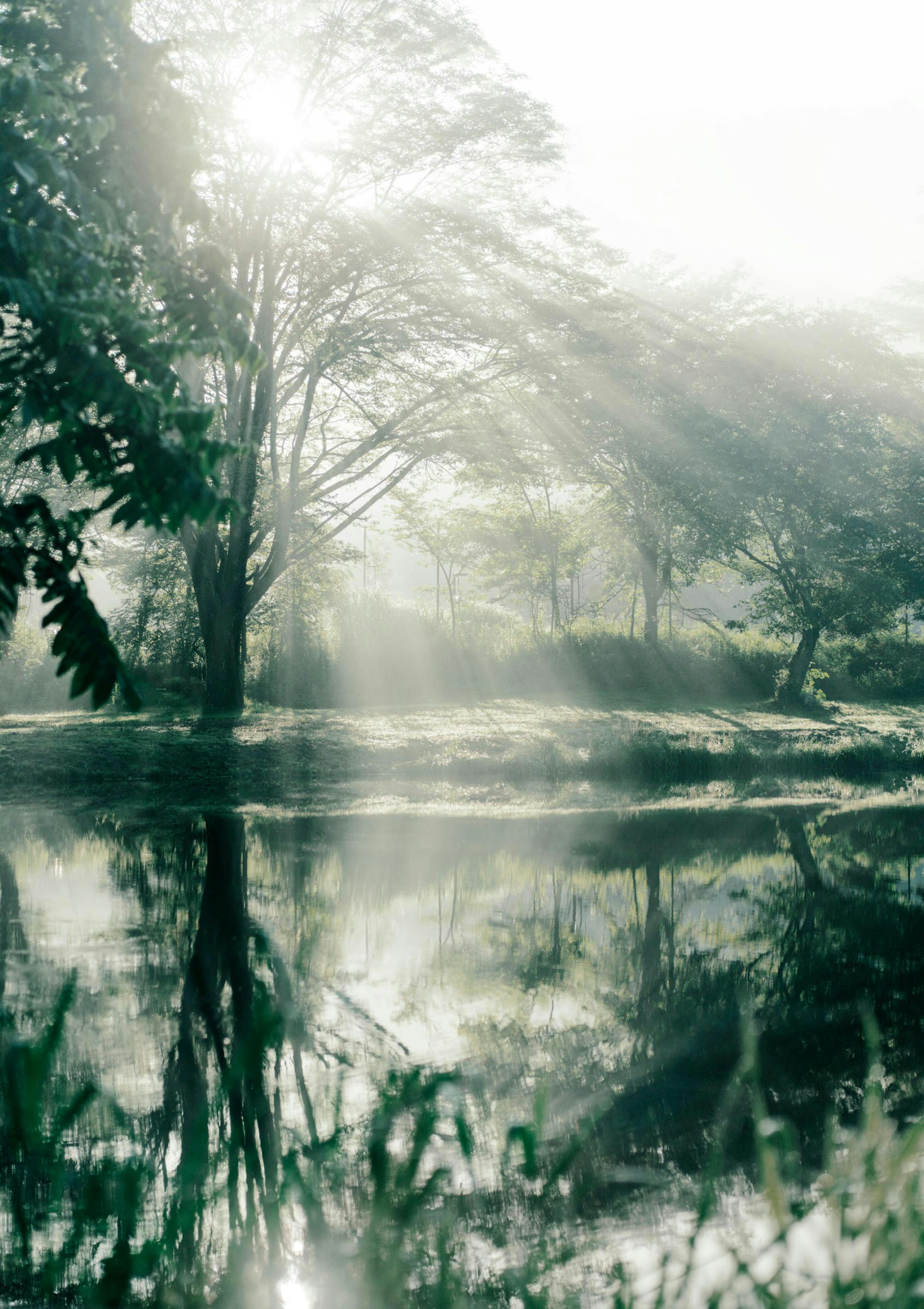 Réflections Rayons Soleil Poster thumbnail
