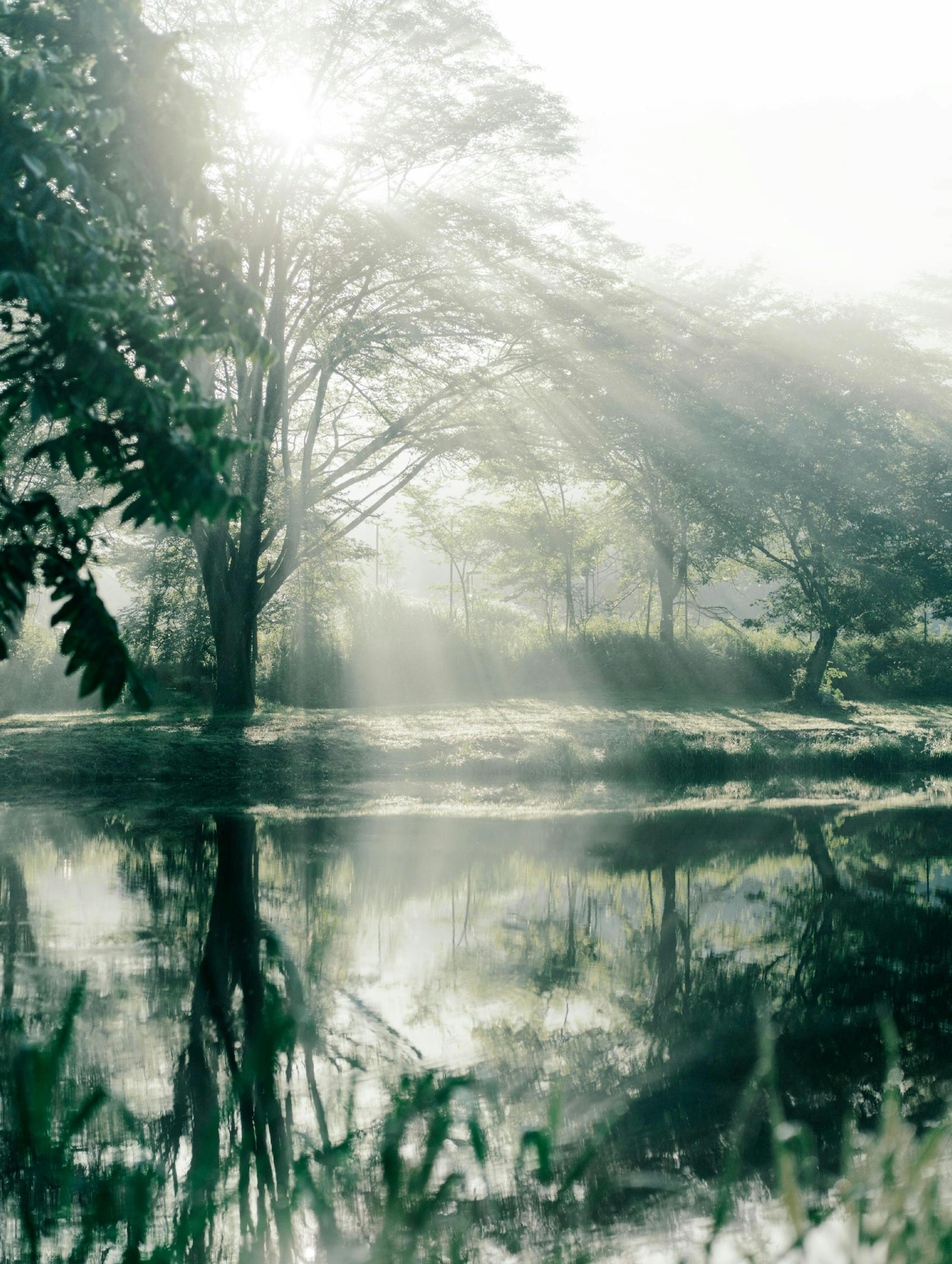 Sunbeams Reflection Poster thumbnail