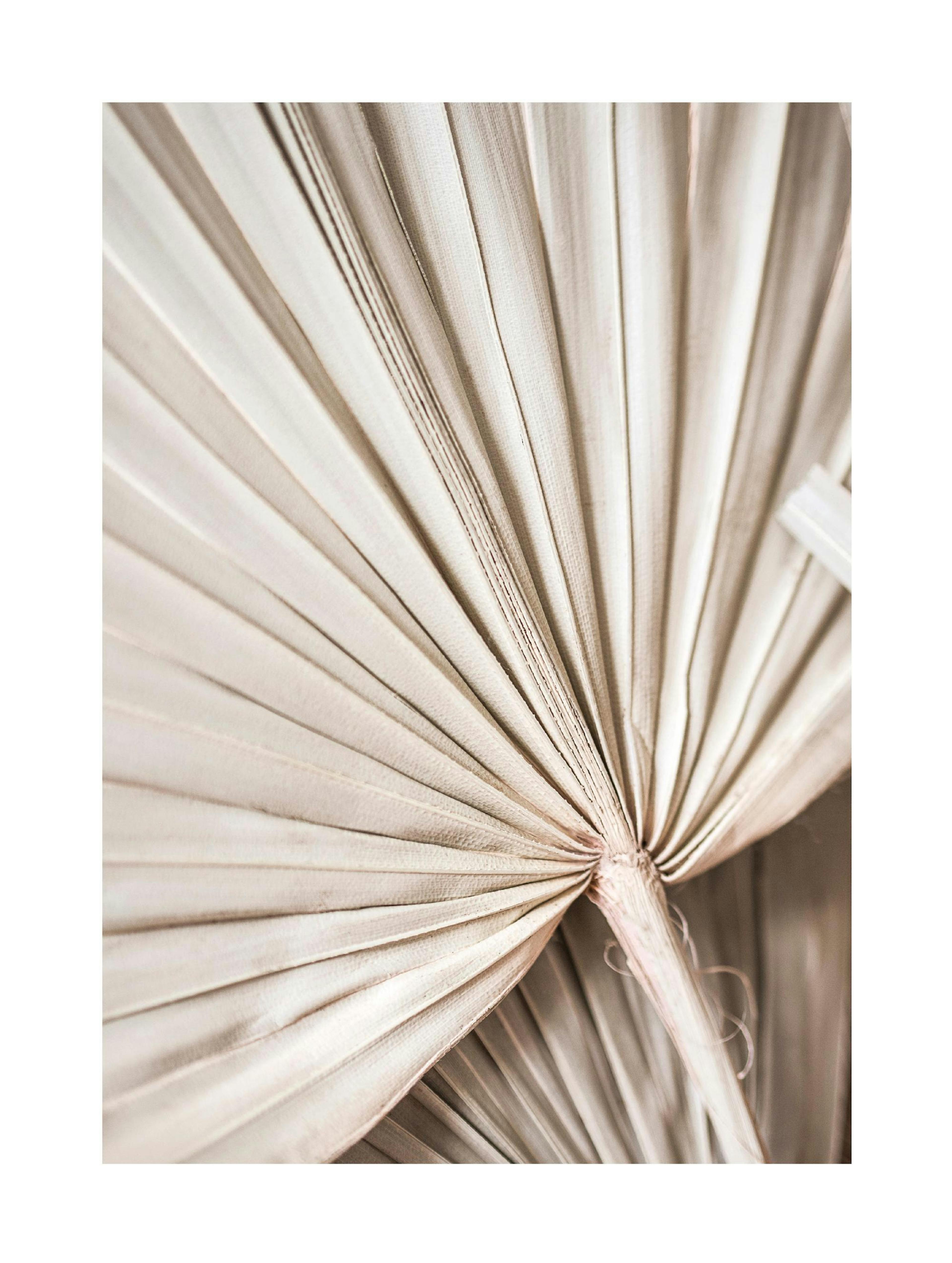 Beige Palm No2 Poster thumbnail