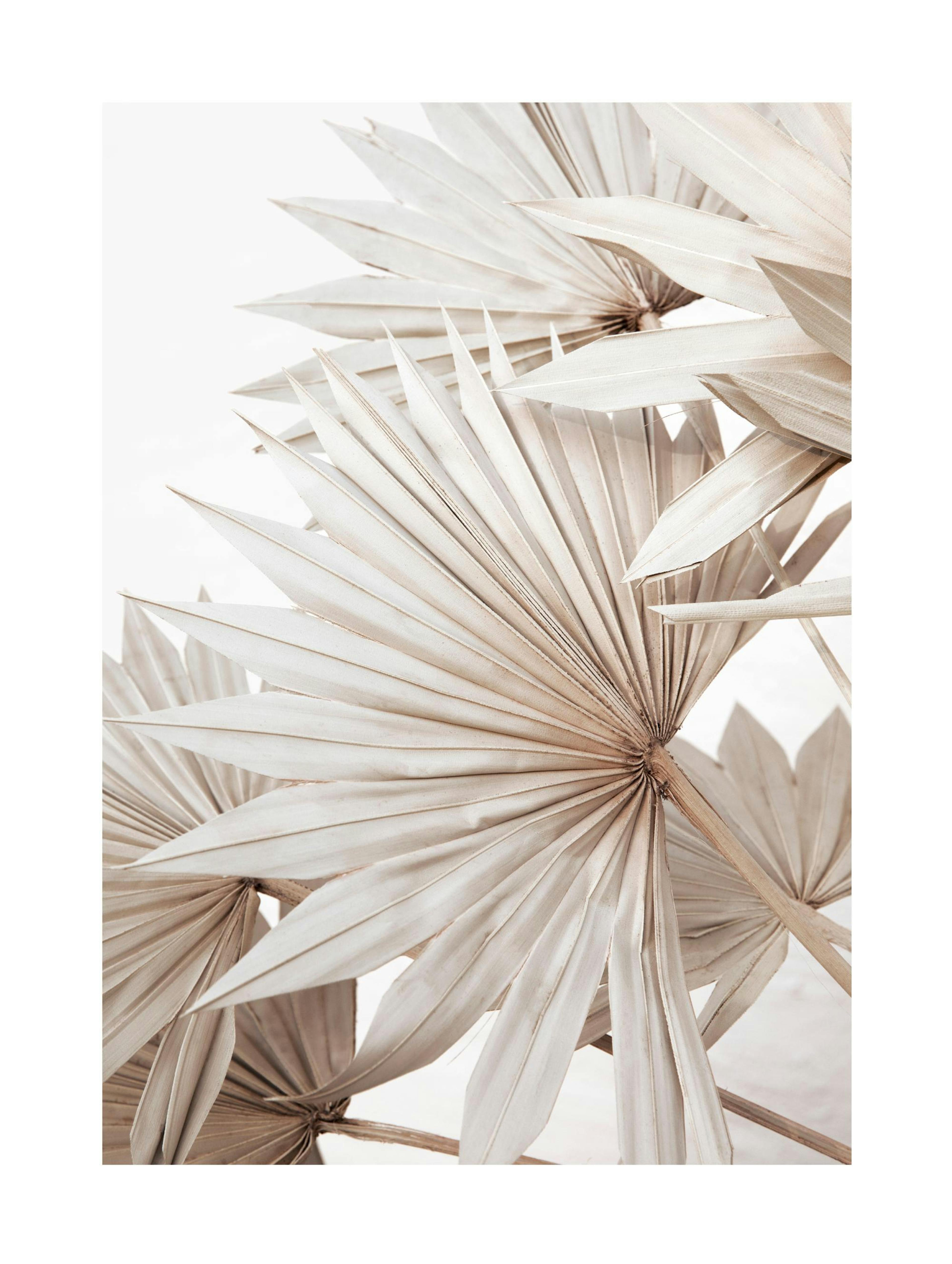 Beige Palm No1 Poster thumbnail