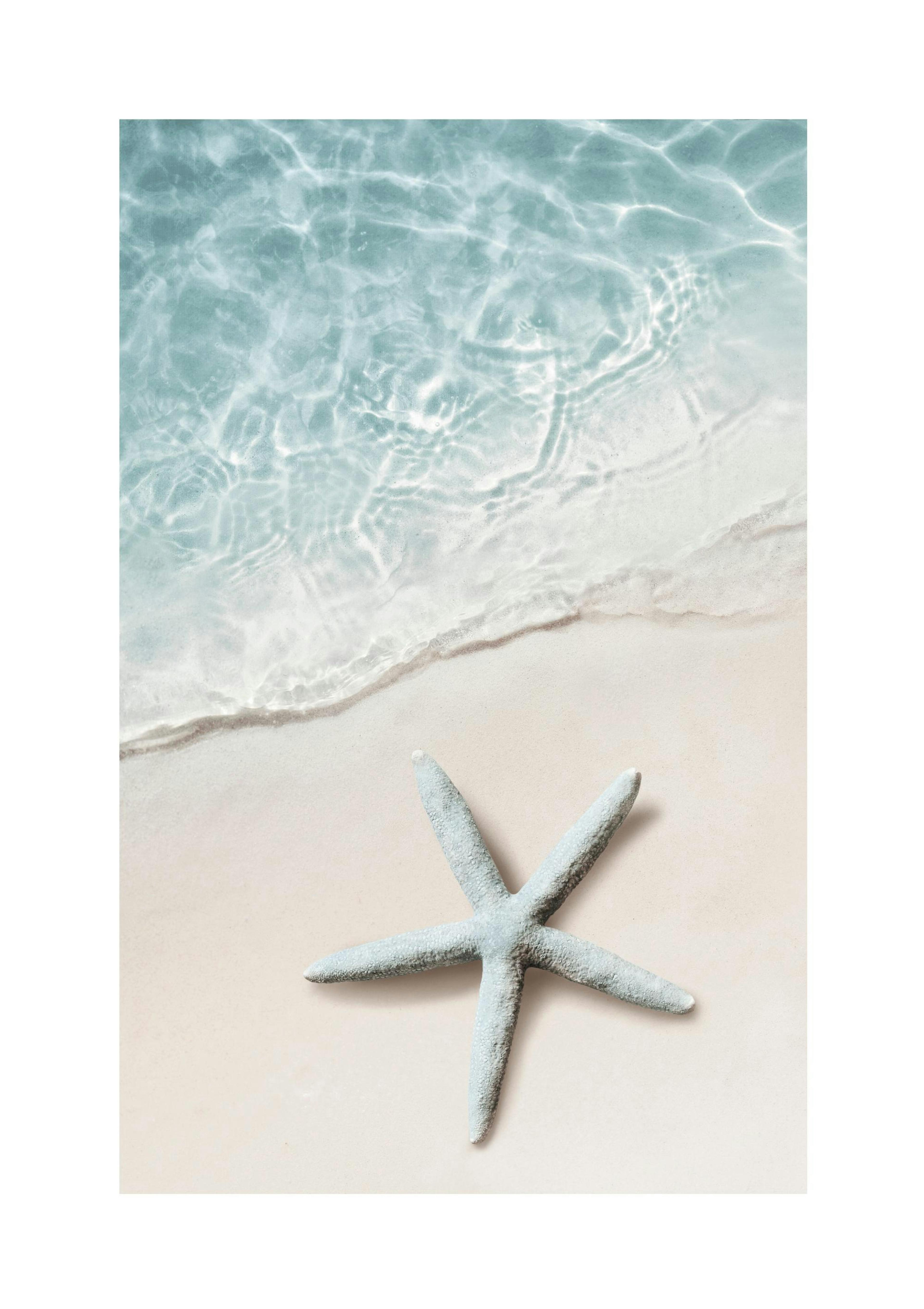 Blue Sea Star Poster thumbnail