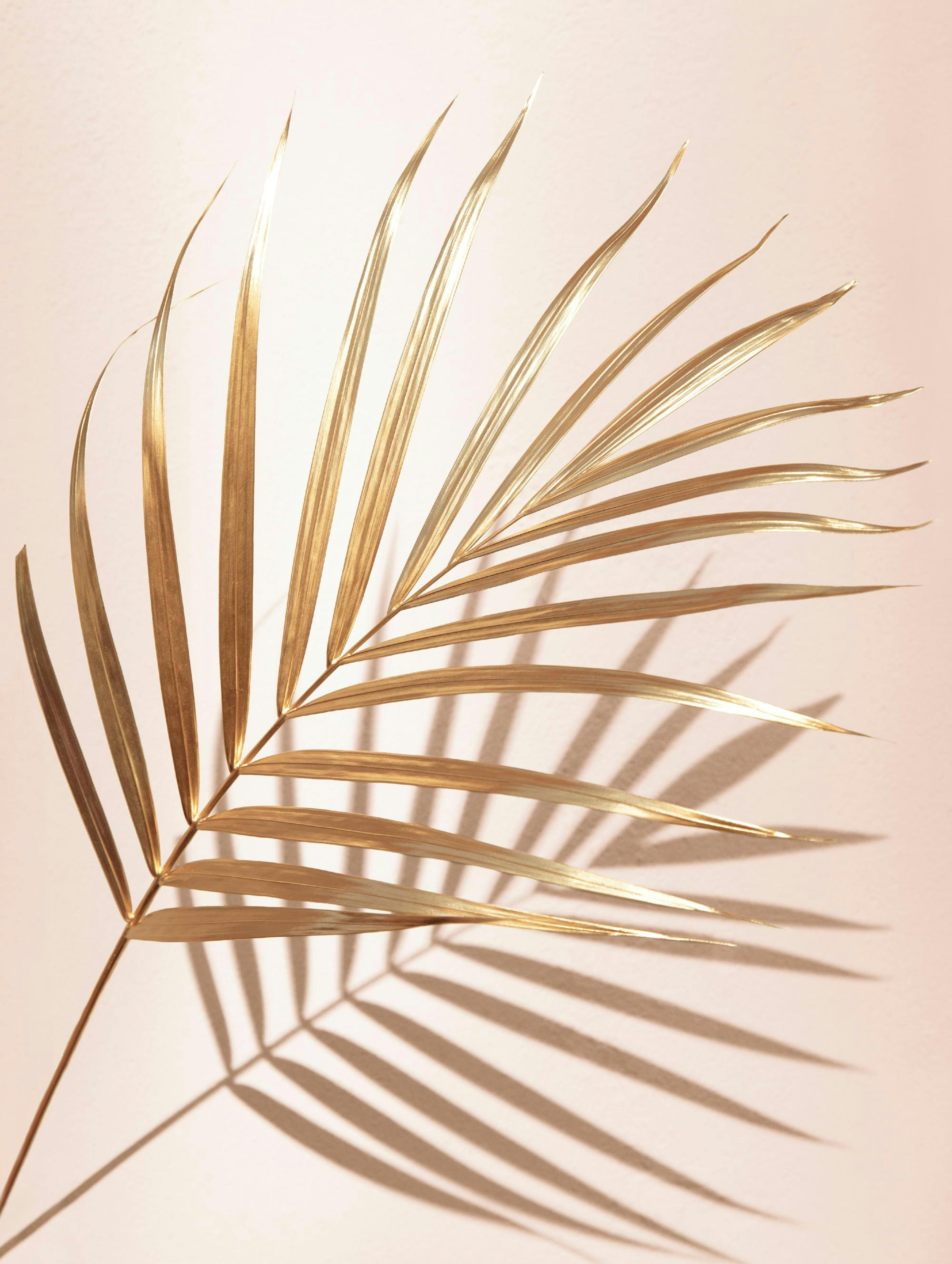 Palmes Dorées No2 Poster thumbnail