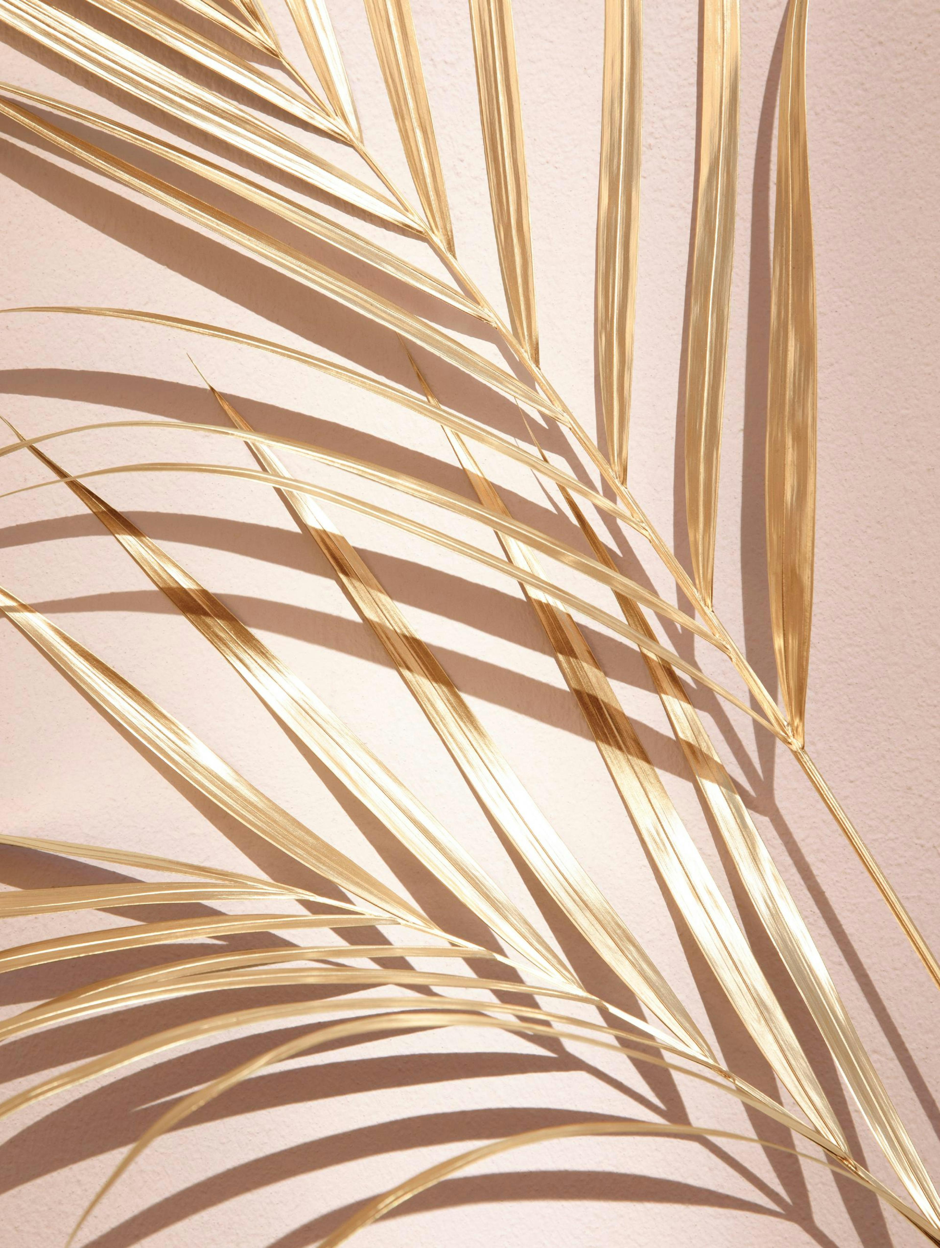 Golden Palm No1 Poster 0