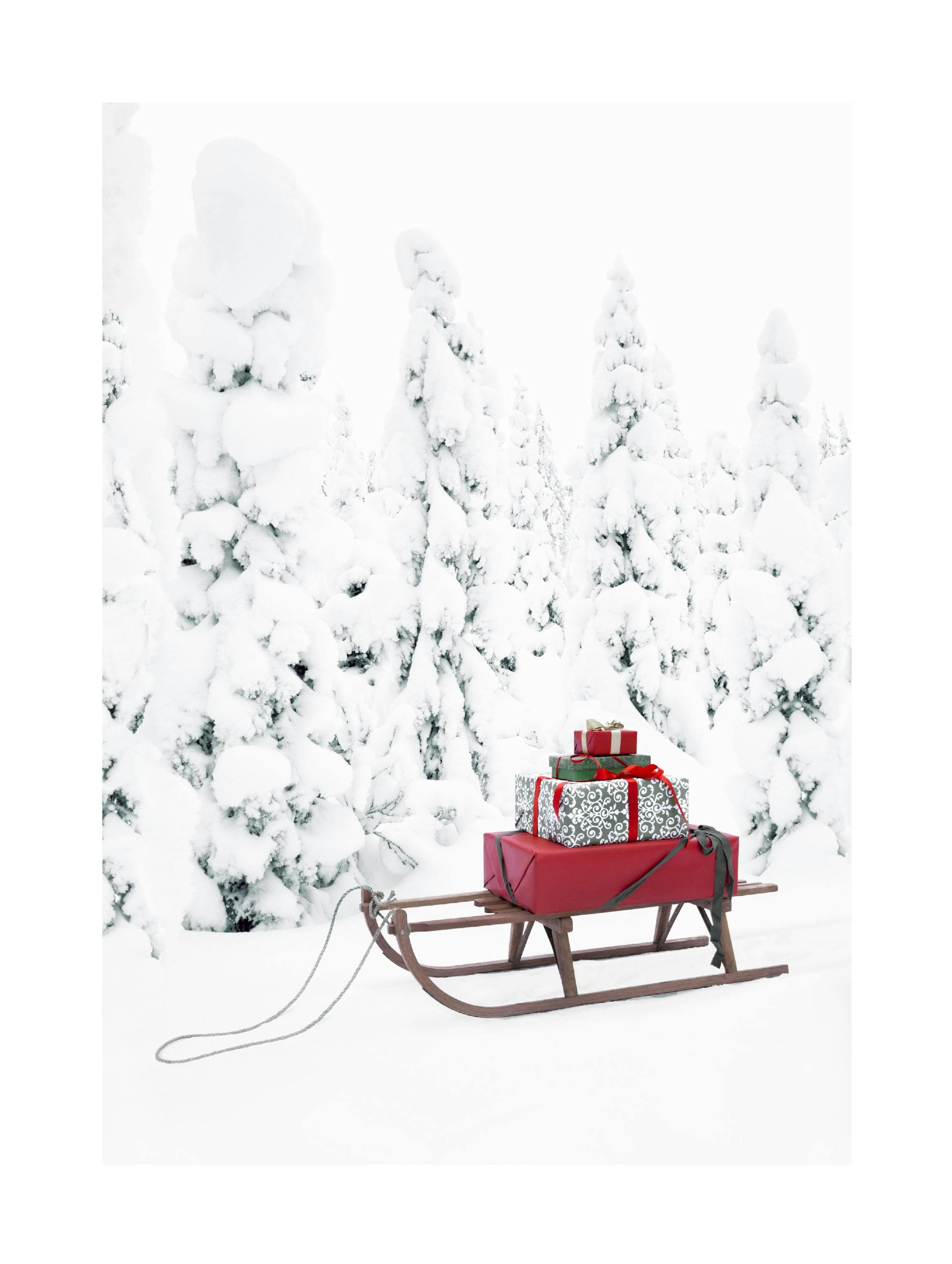 Christmas Sleigh Poster 0