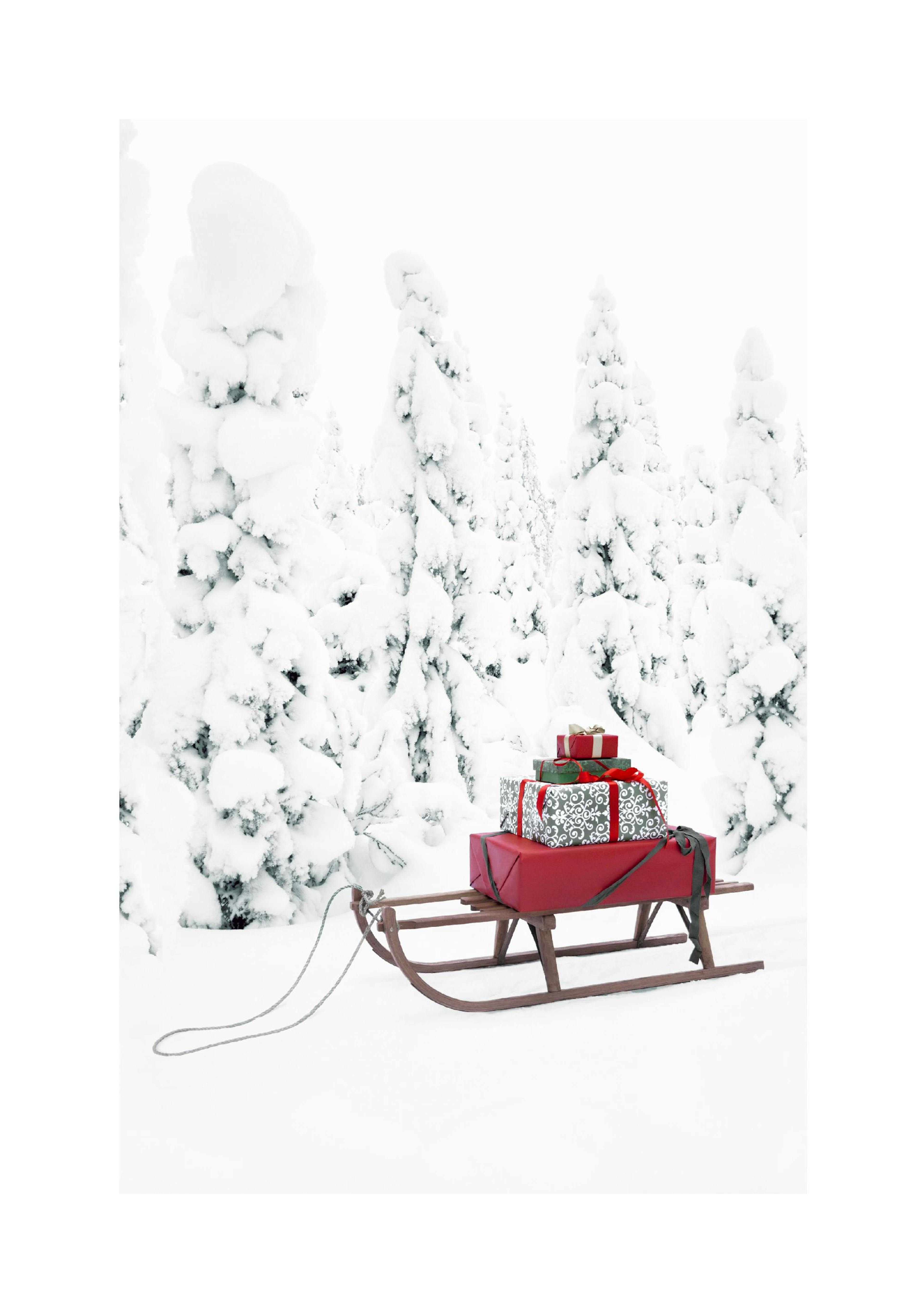 Weihnachtsschlitten Poster thumbnail
