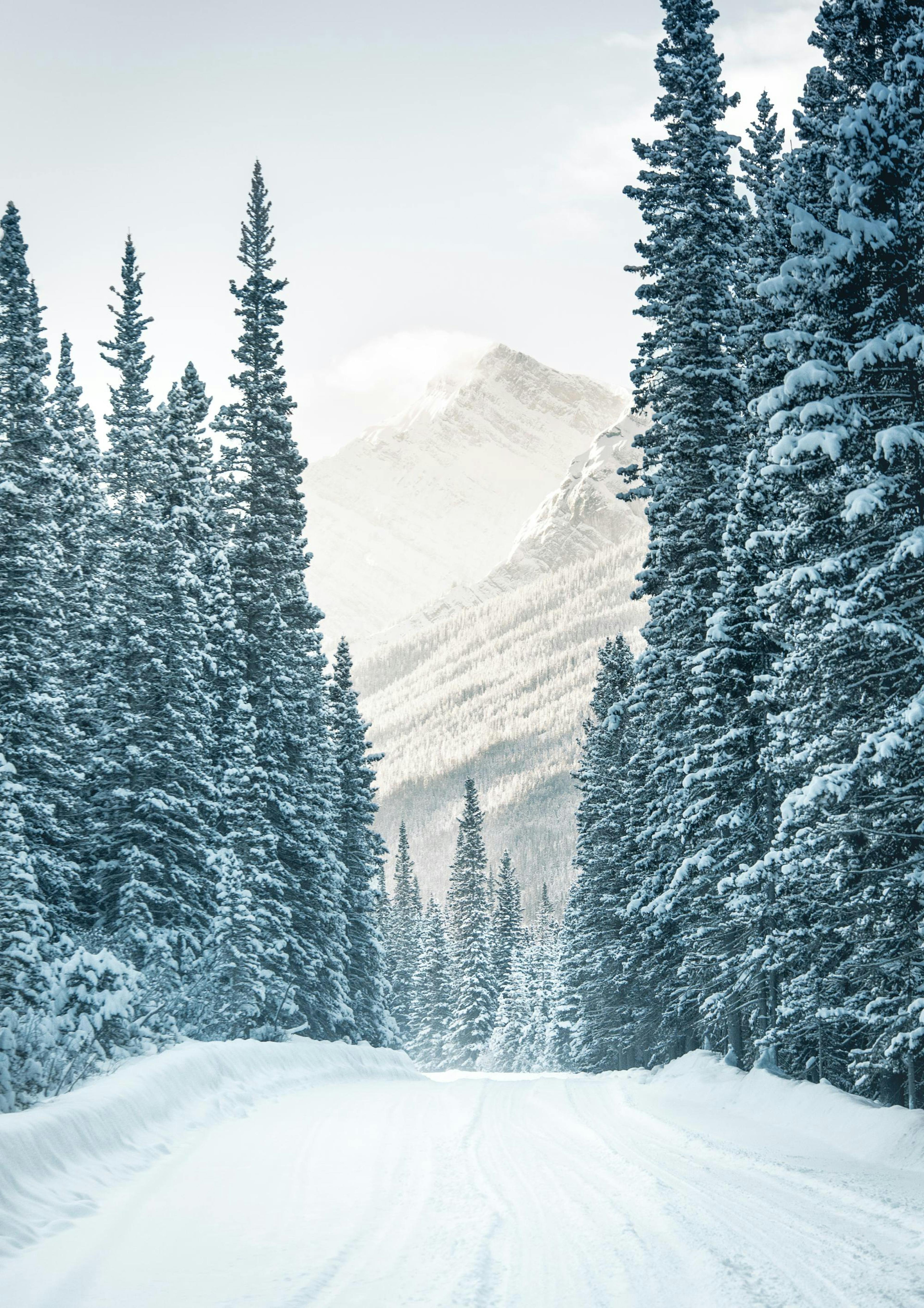 Winter Road Poster 0