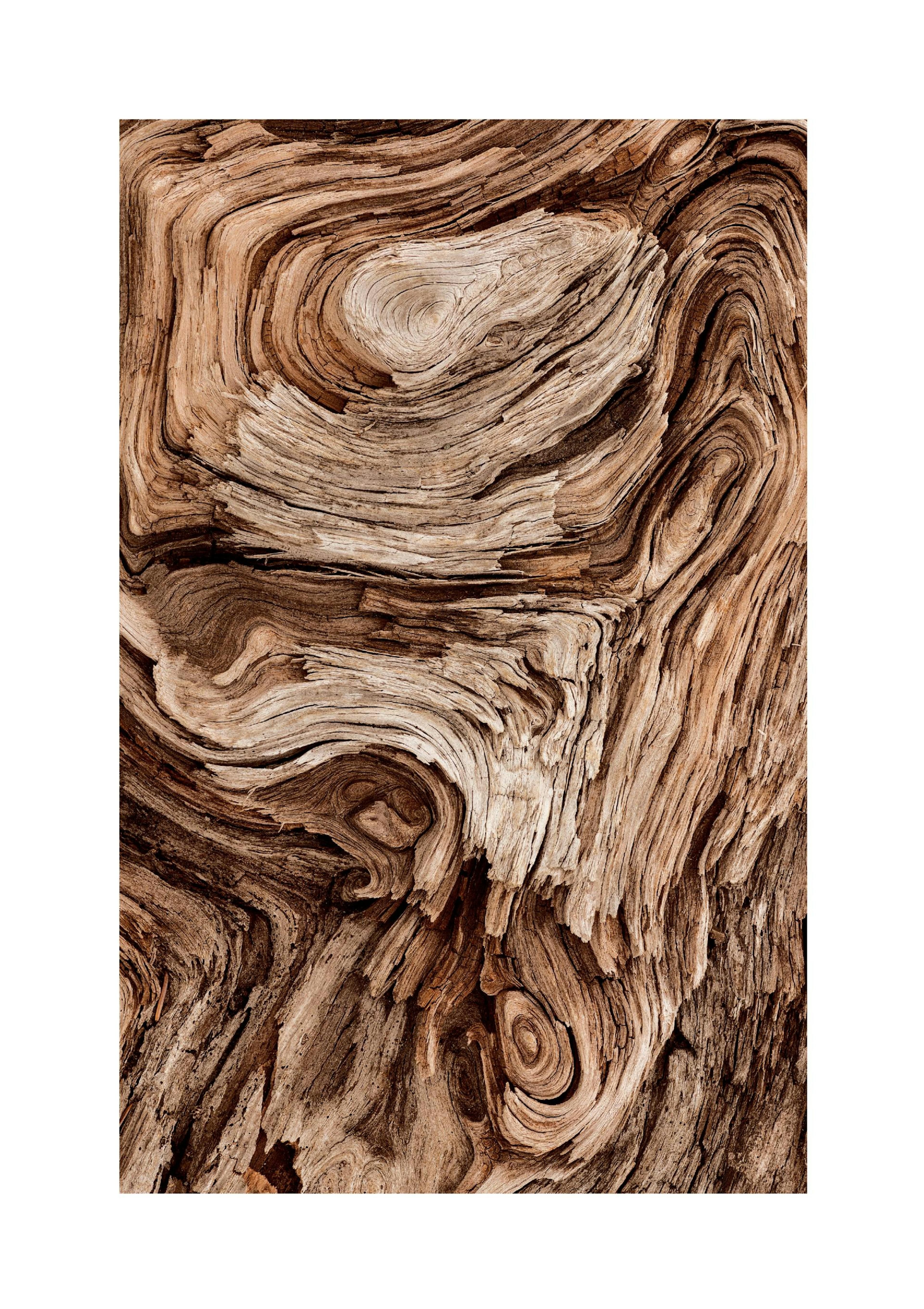Legno Vorticoso Poster thumbnail
