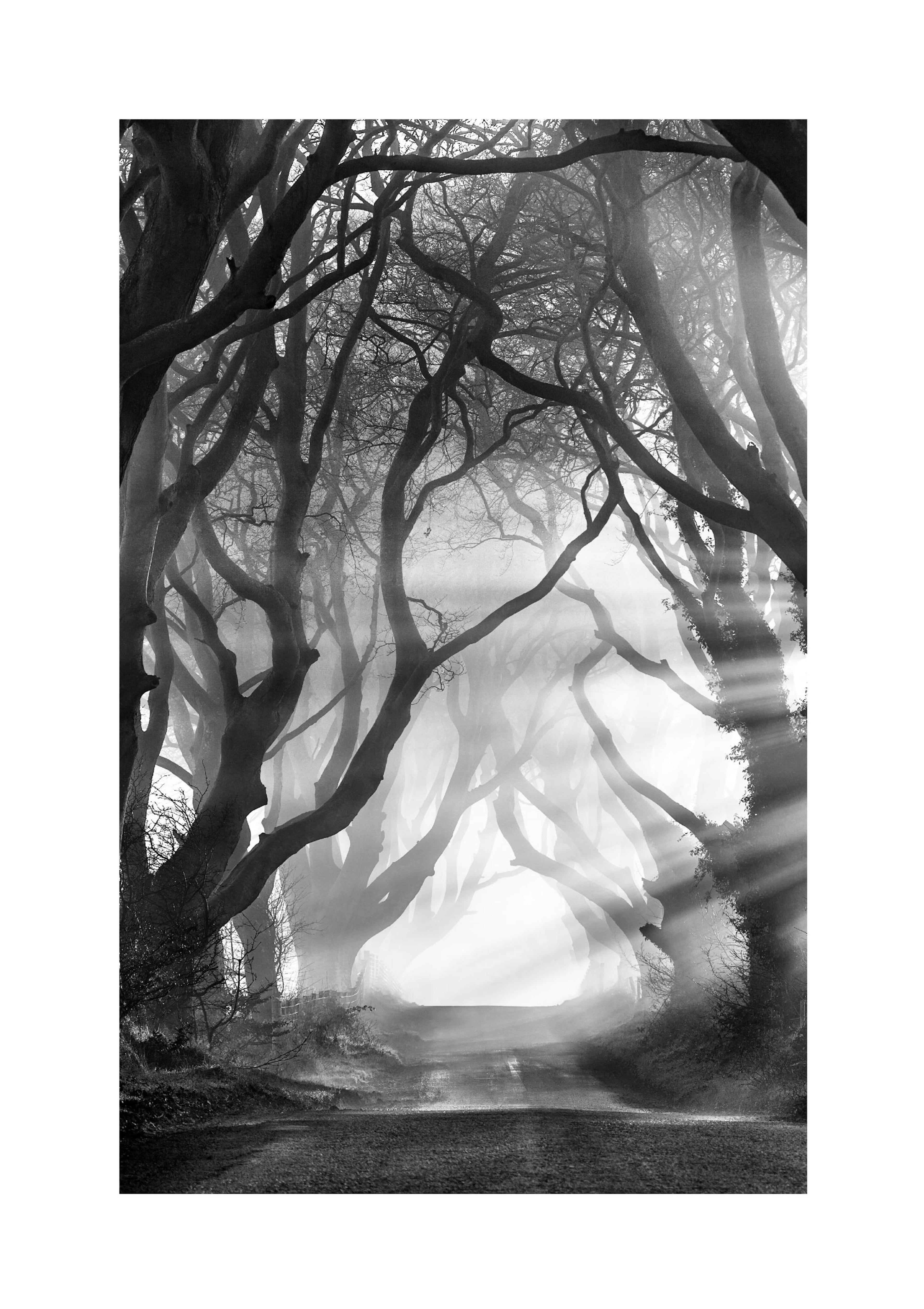 Plakat Ciemne Cienie thumbnail