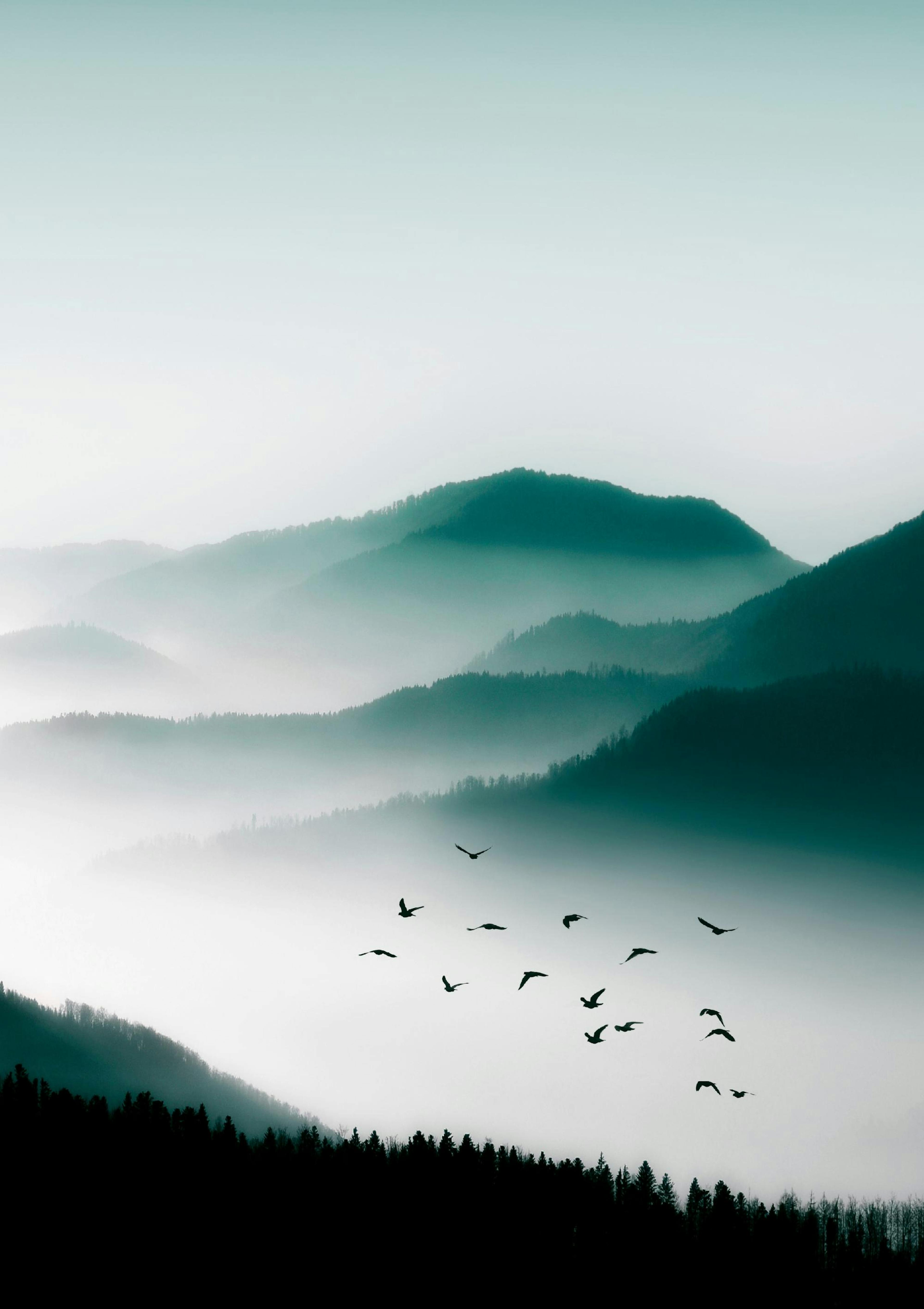 Birds Over Mountain Poster thumbnail