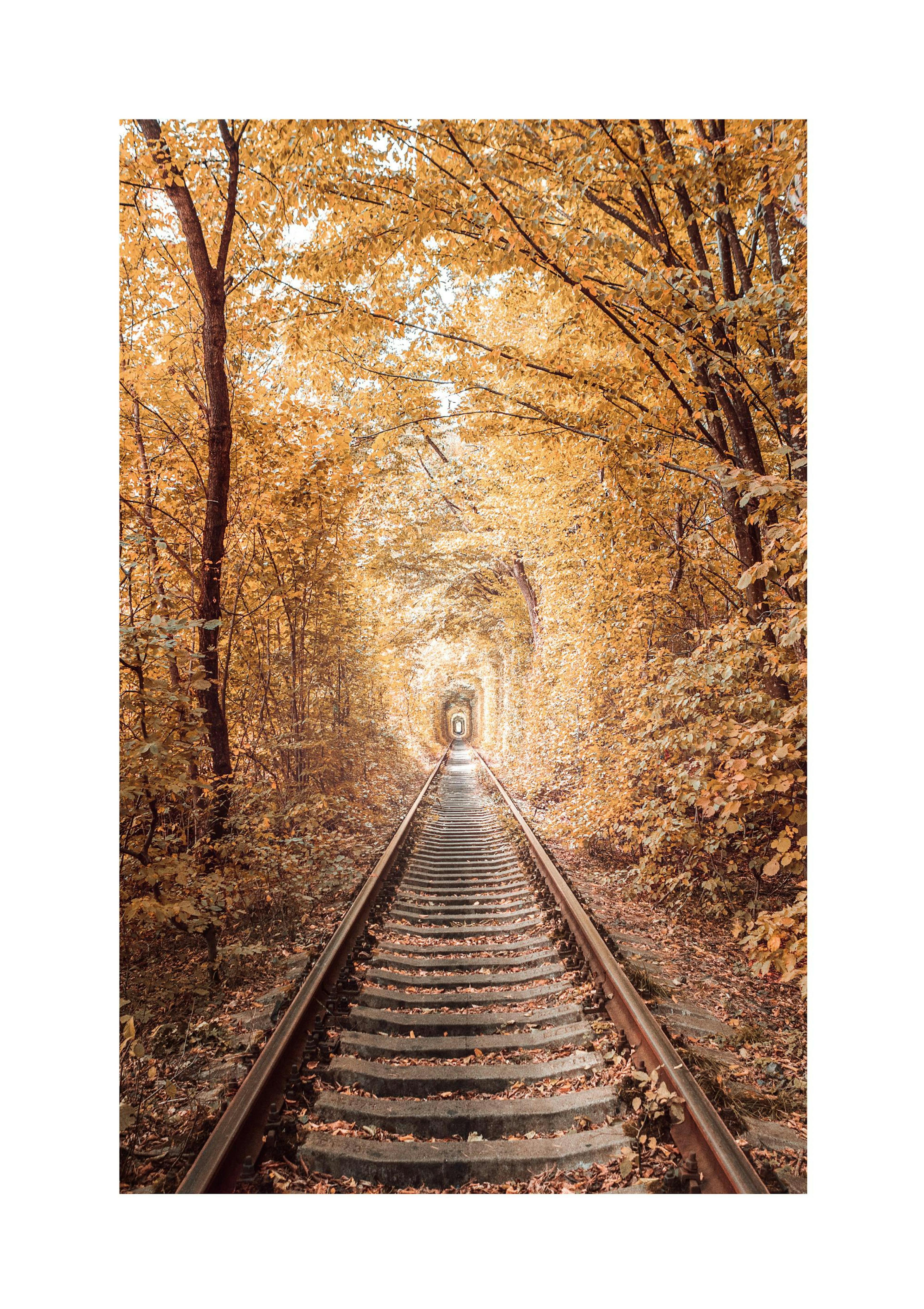 Love Tunnel Poster thumbnail