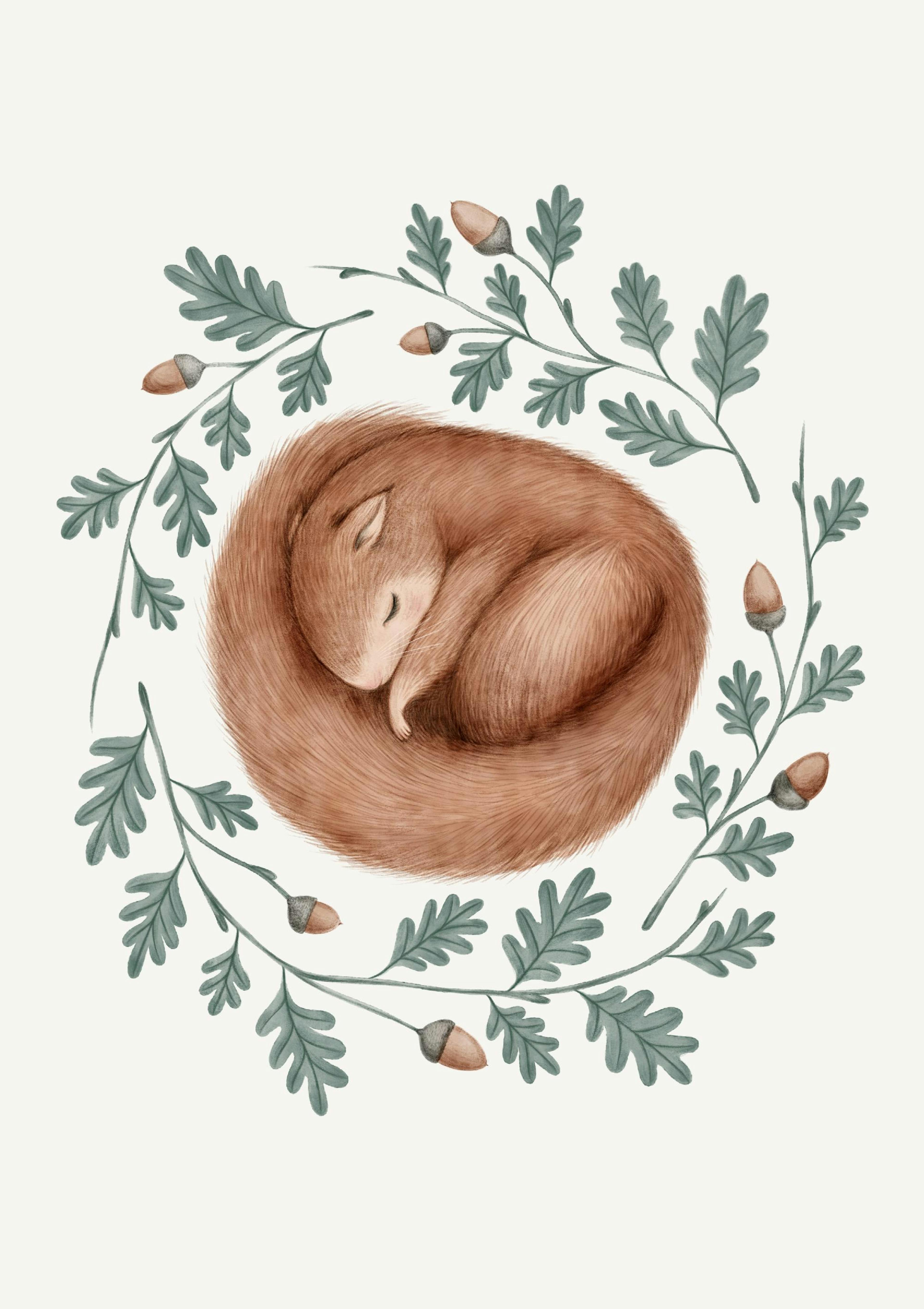 Sleeping Squirrel Poster thumbnail