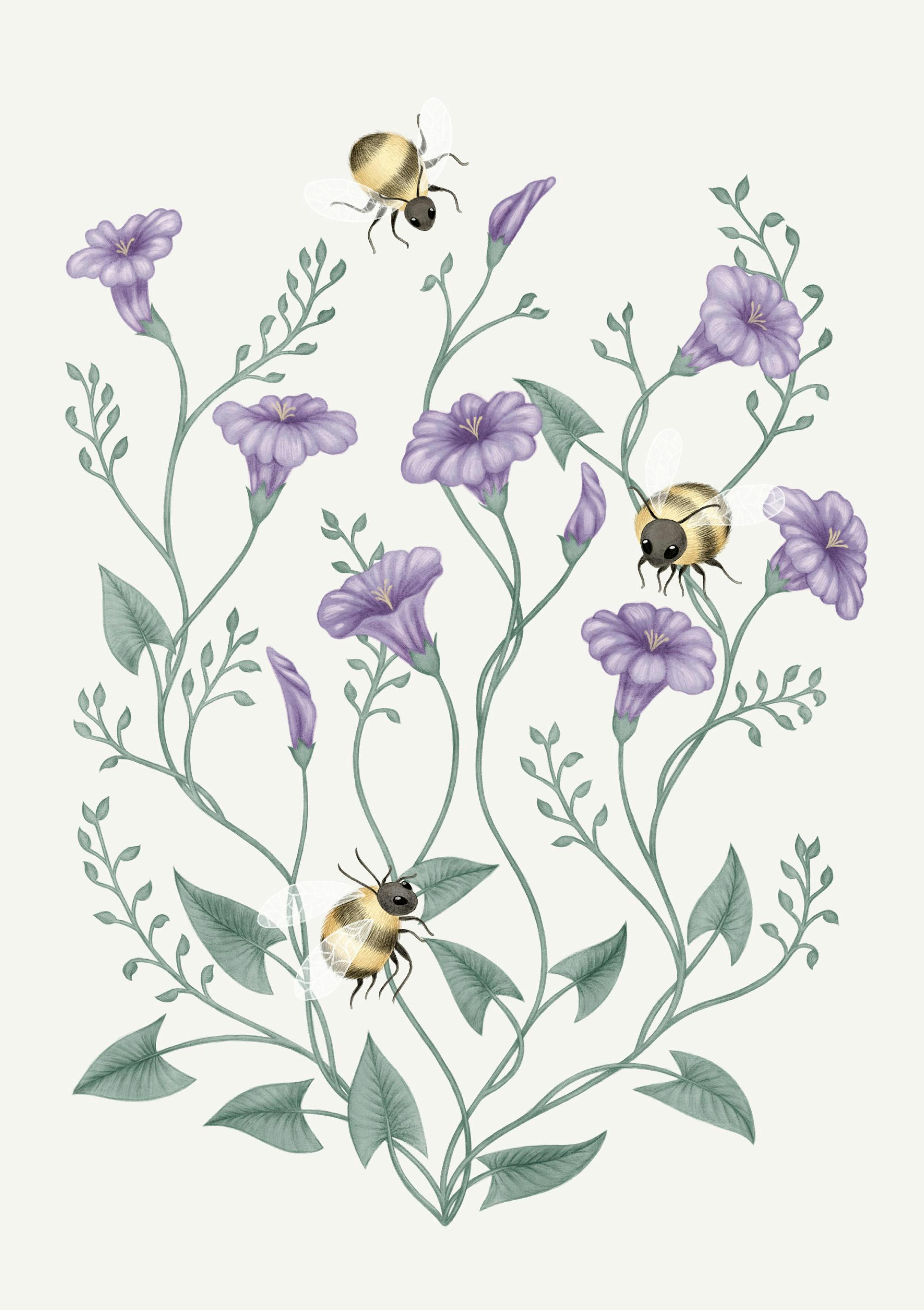 Bumblebee Flower Poster thumbnail