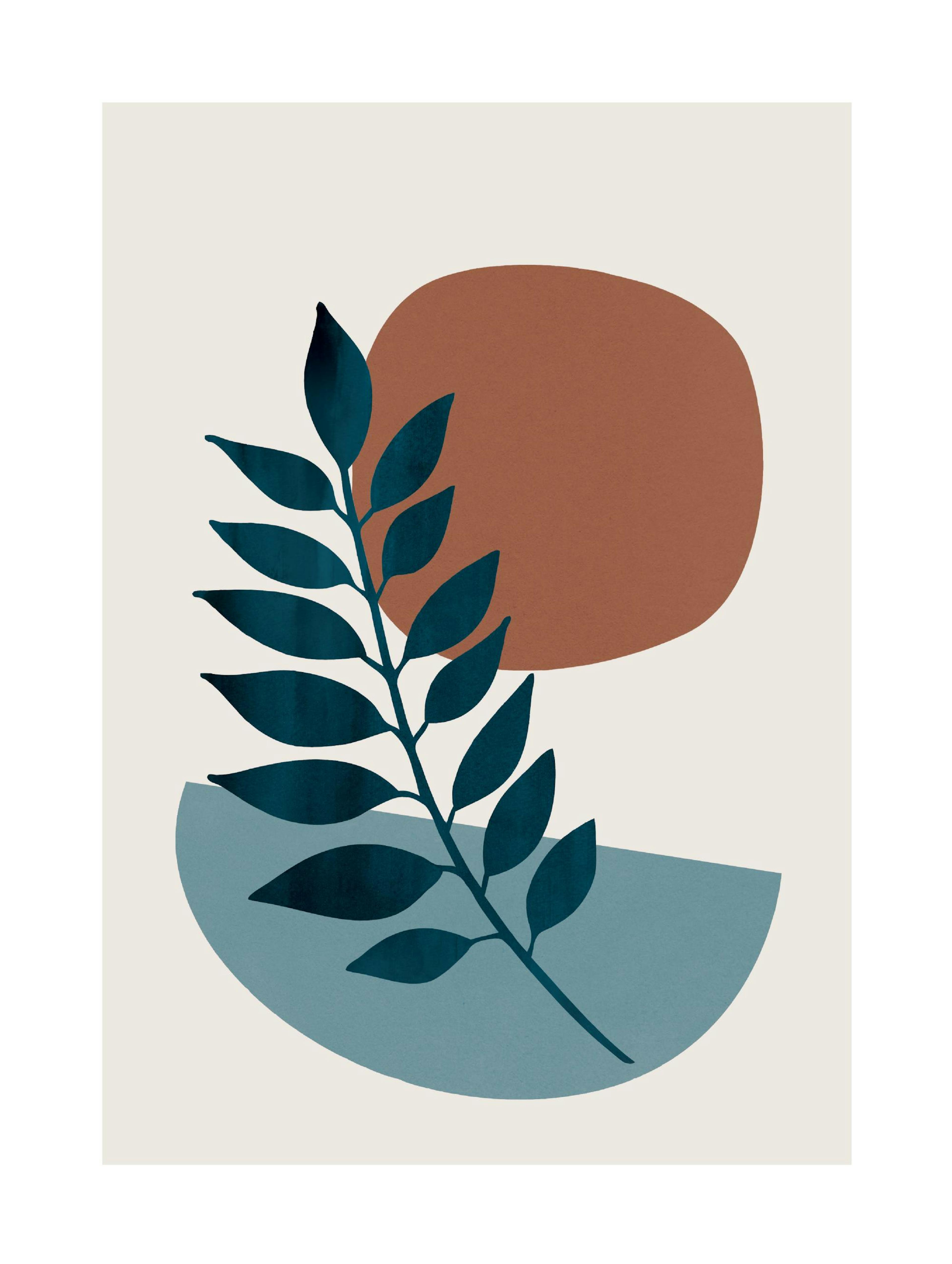 Botanical Shapes No1 Poster 0