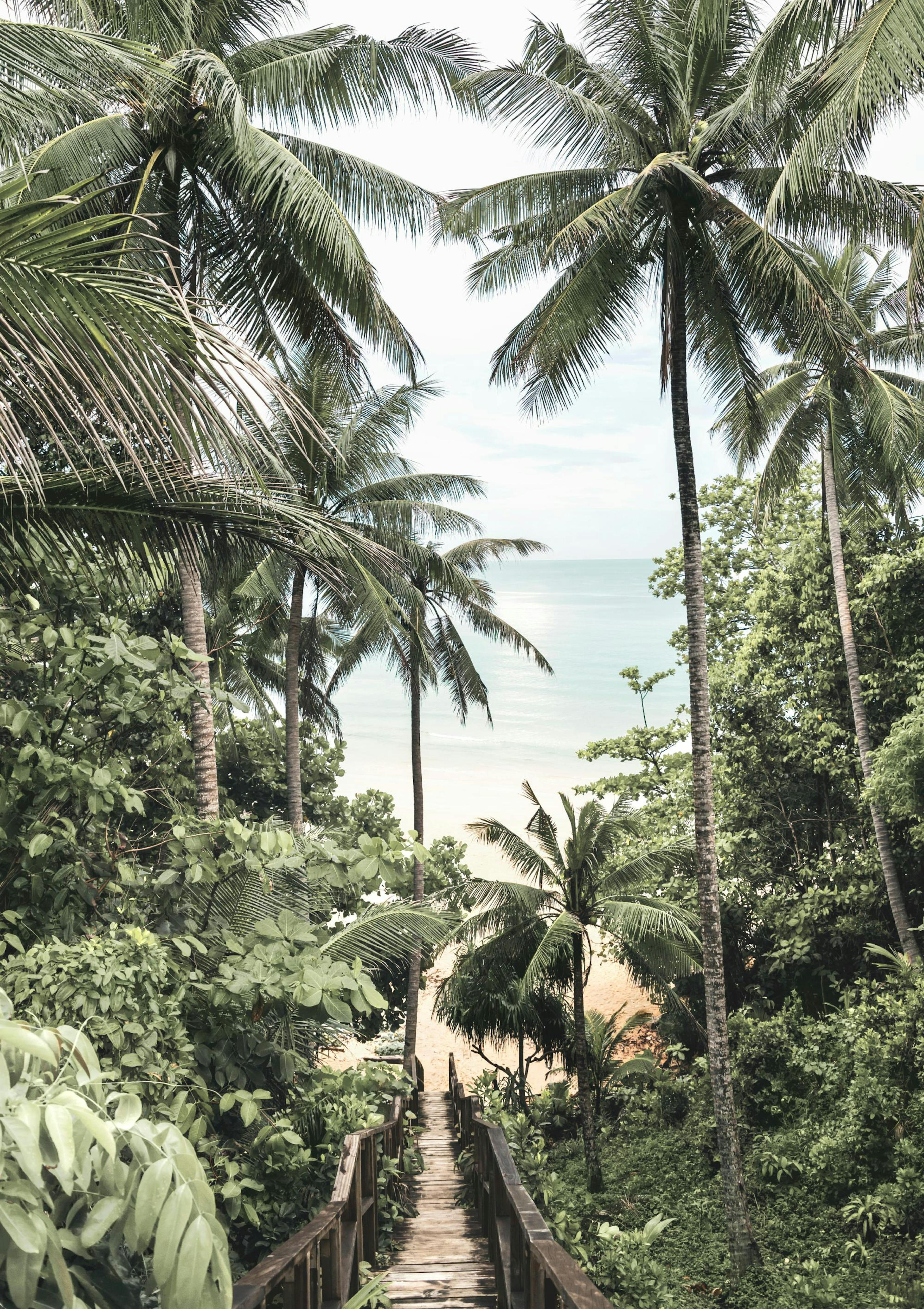 Pont Tropical Poster thumbnail