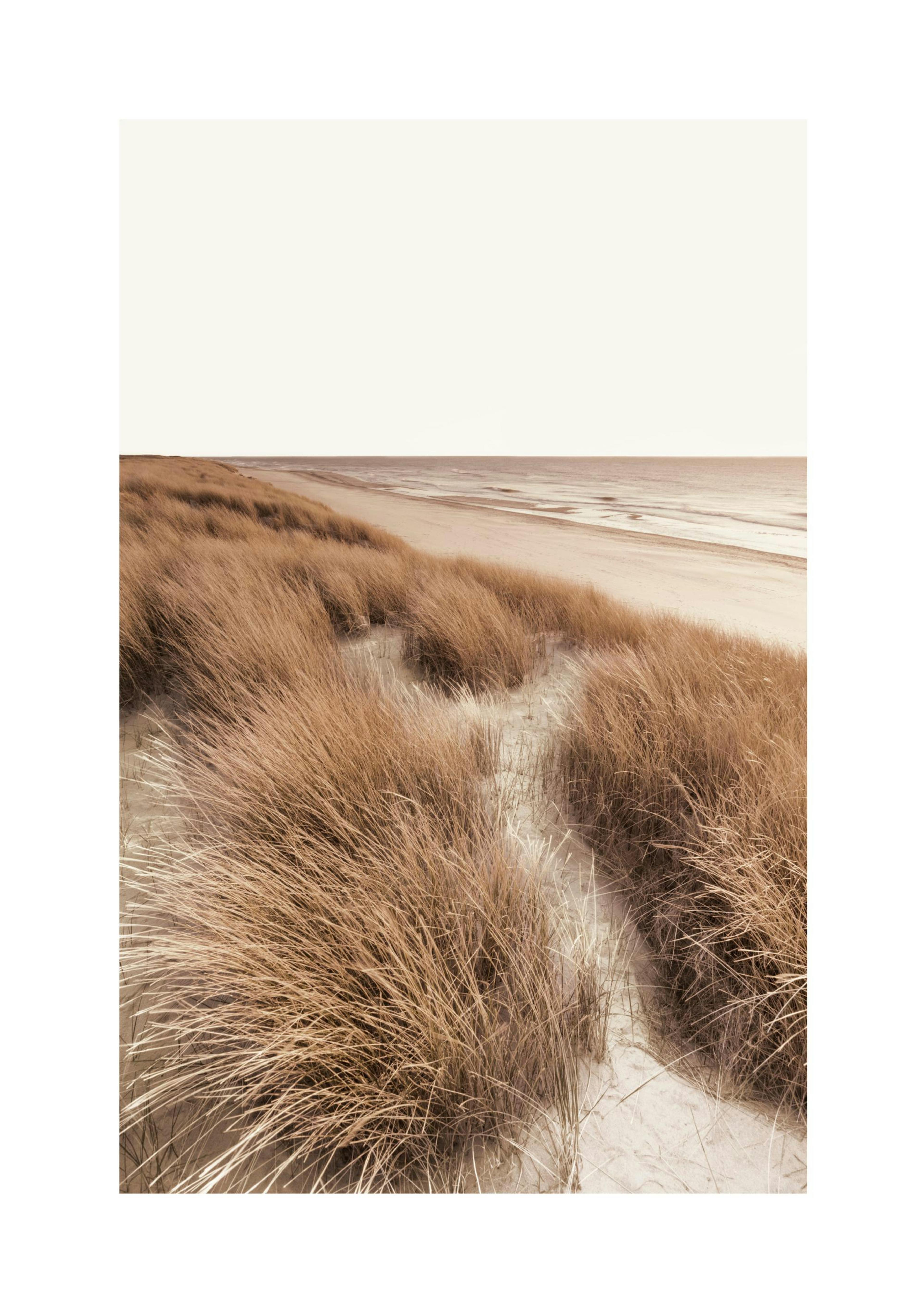 Strandduinen Poster thumbnail