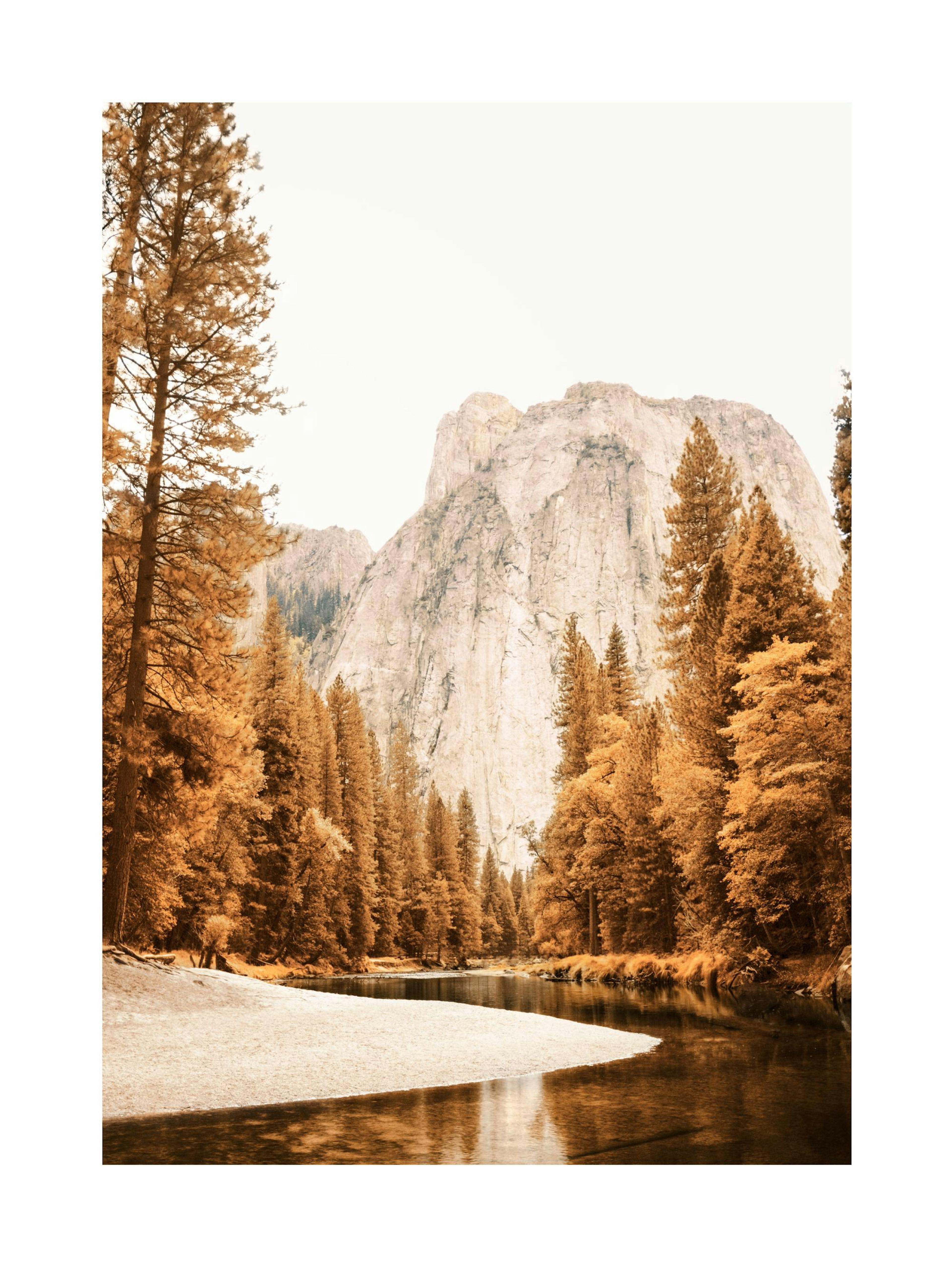 Kleurrijke Yosemite Poster 0