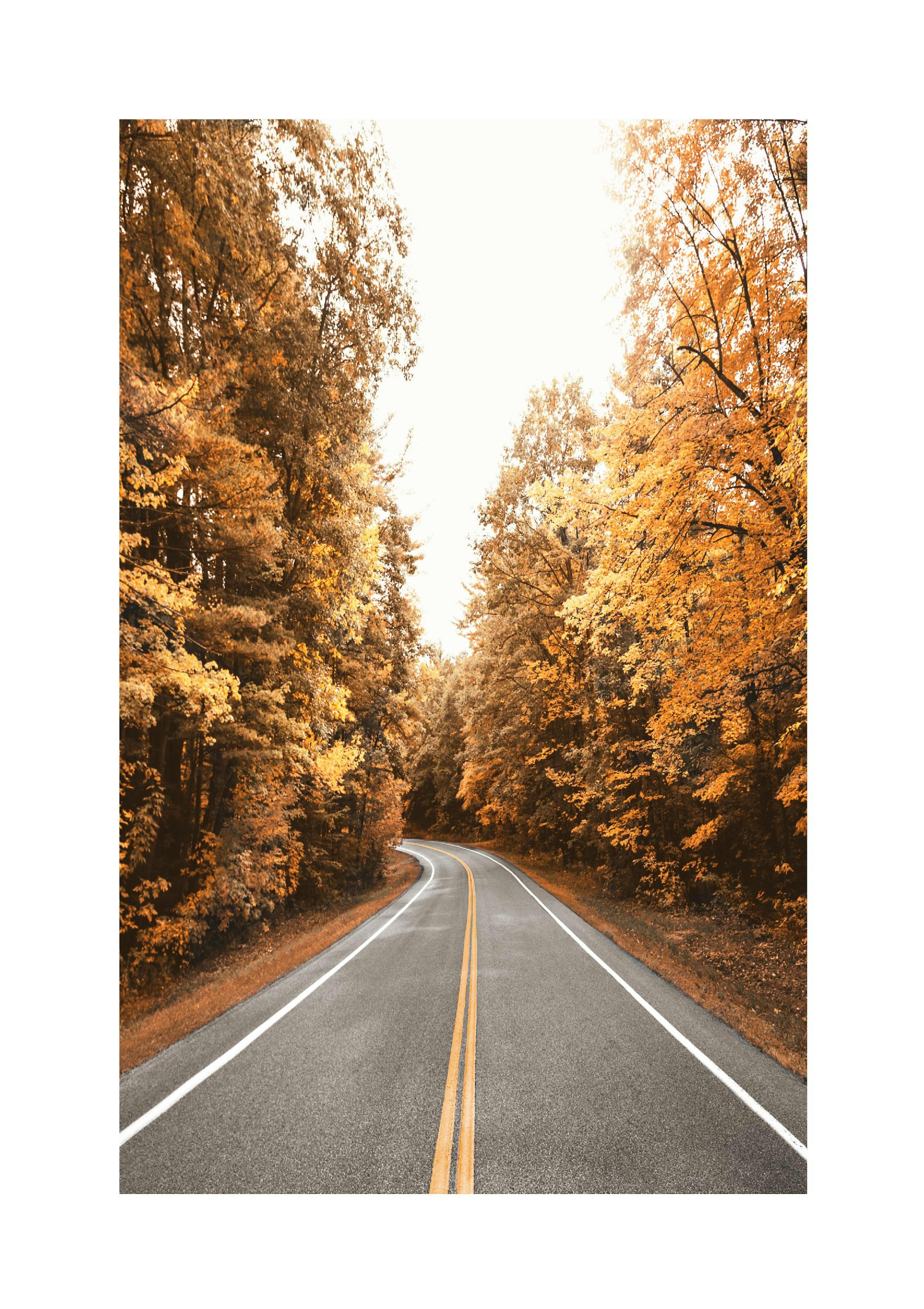 Autumn Road Poster thumbnail