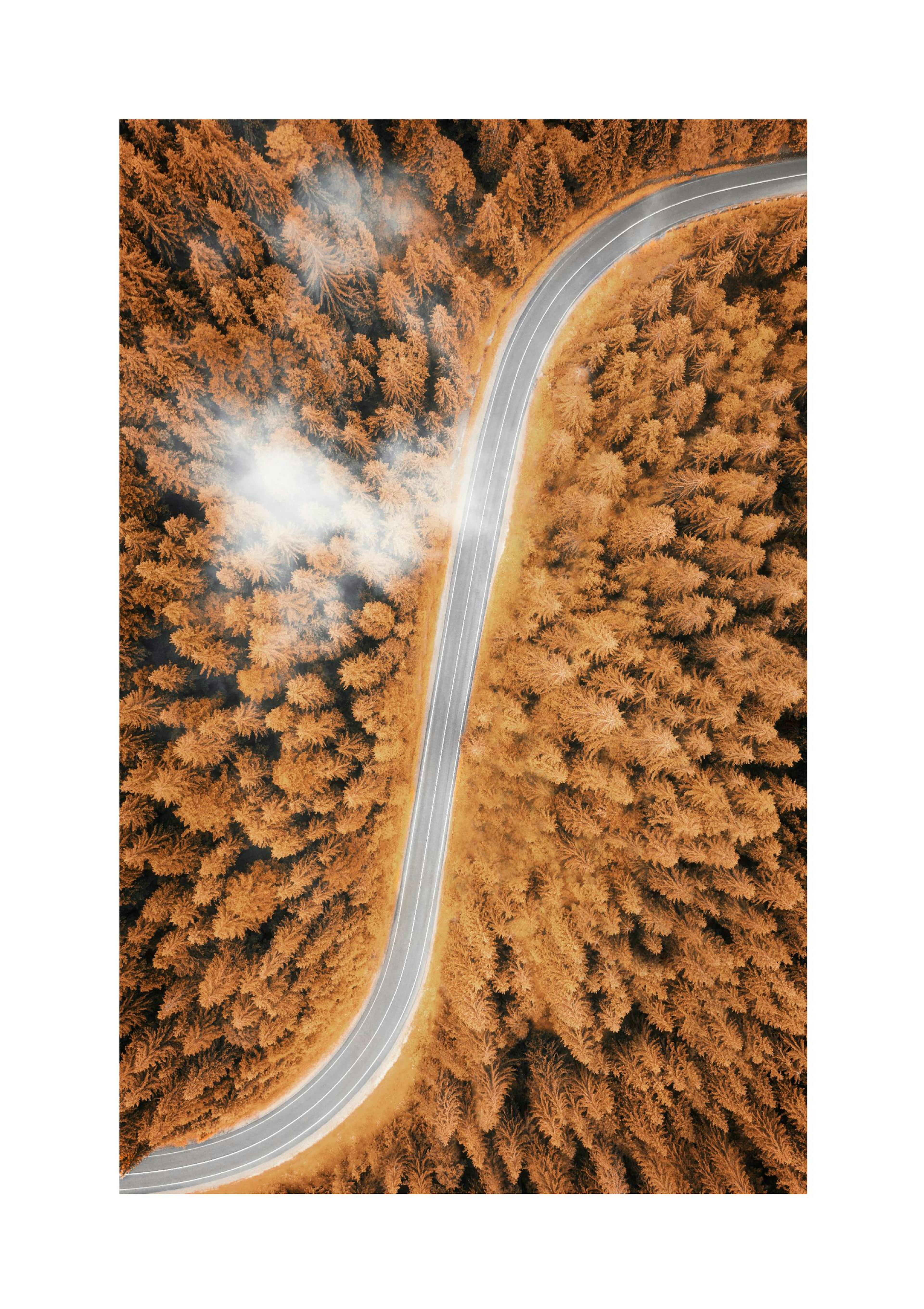Autumn Aerial View Poster thumbnail