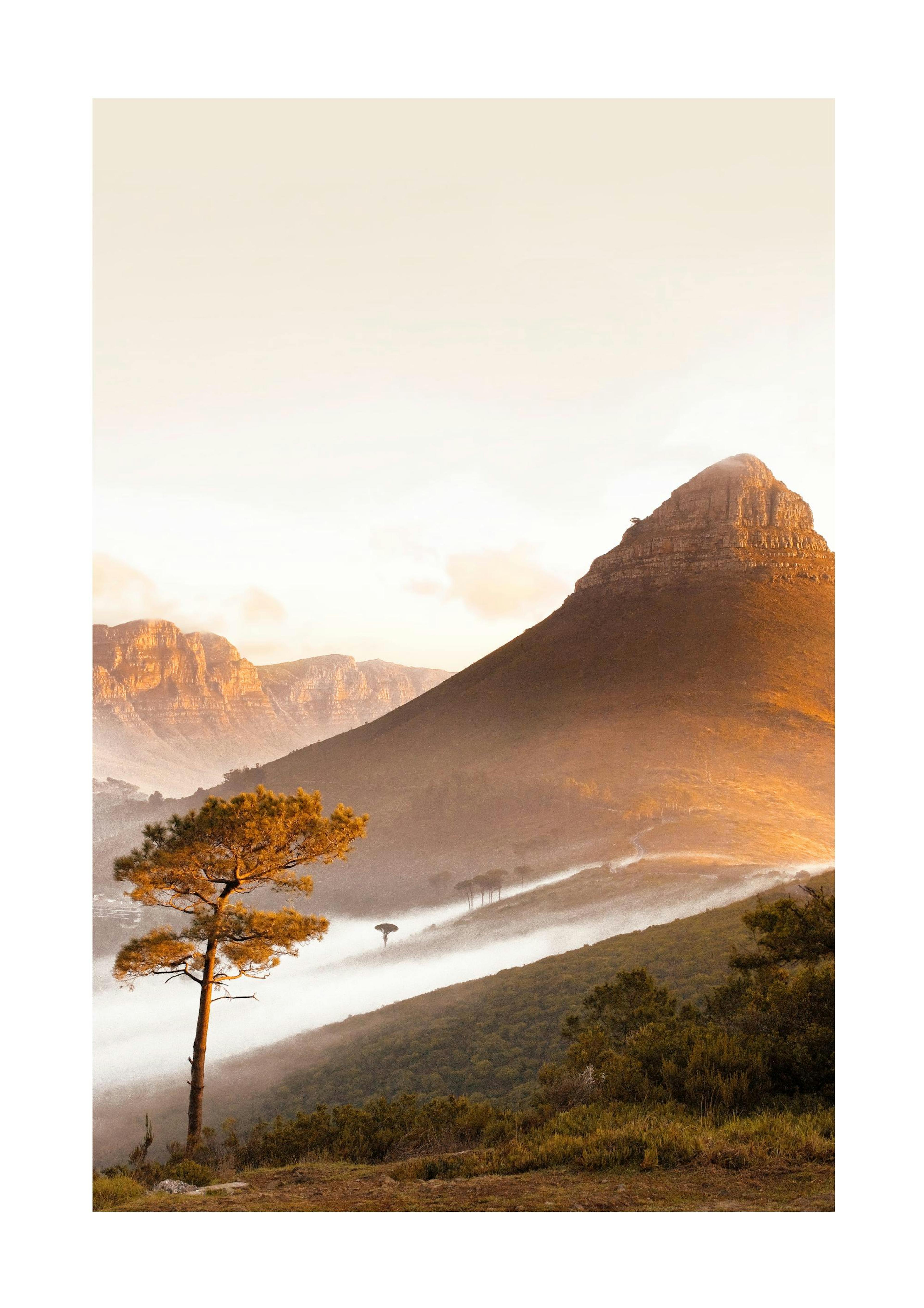 Póster Naturaleza Salvaje thumbnail