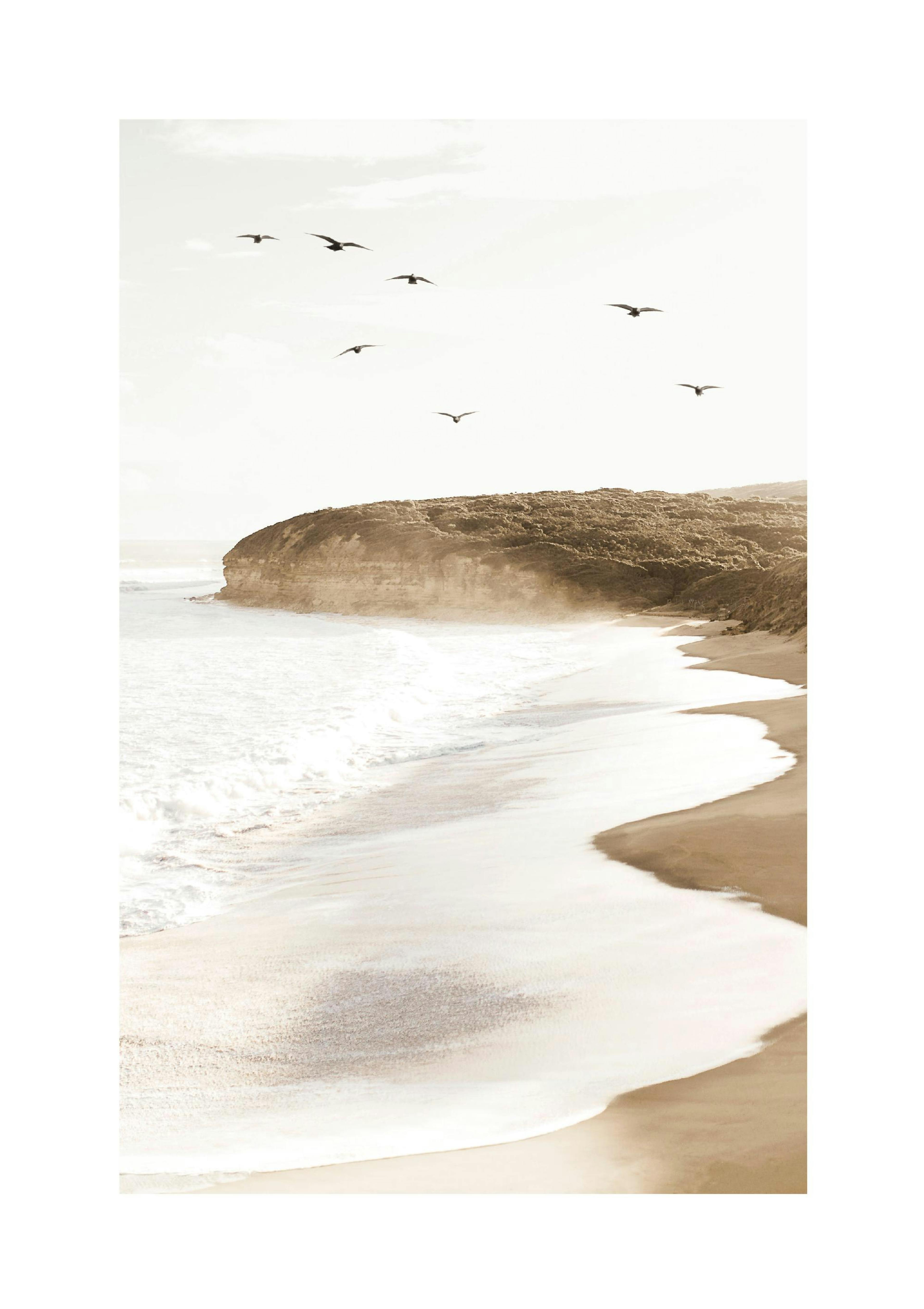 Oceano Spiaggia Uccelli Poster thumbnail