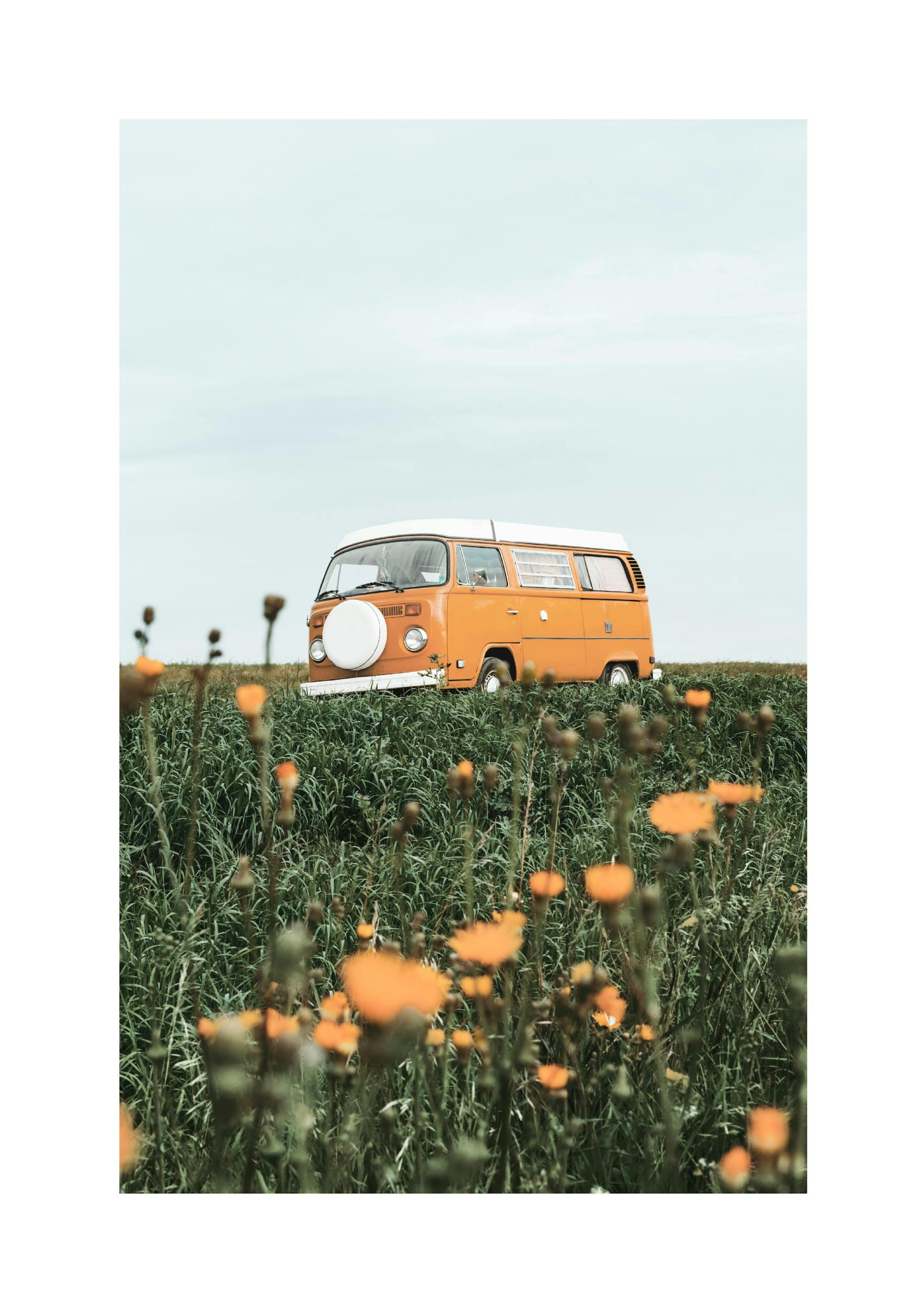 Summer Van Poster thumbnail