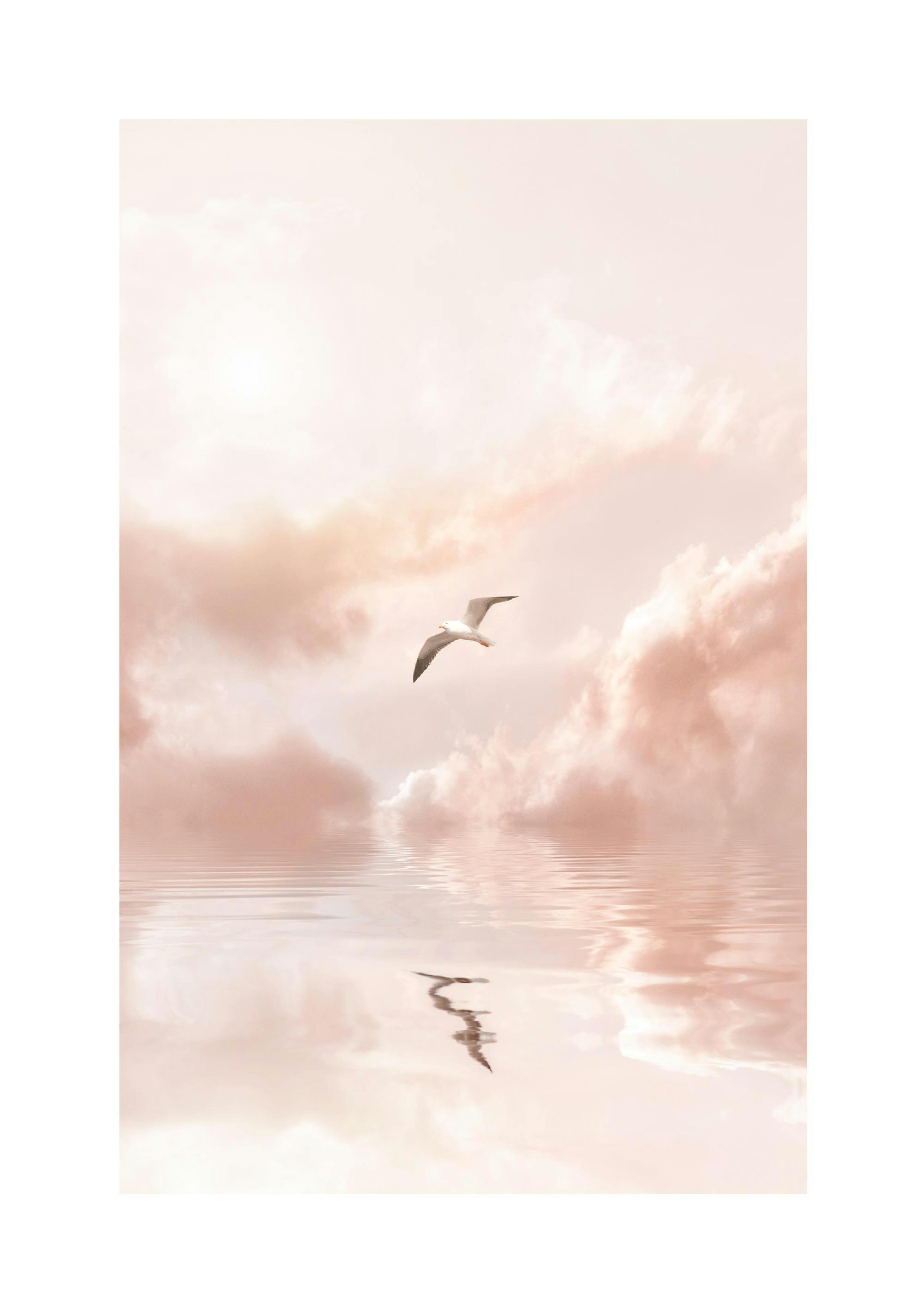 Uccello nel Cielo Poster thumbnail
