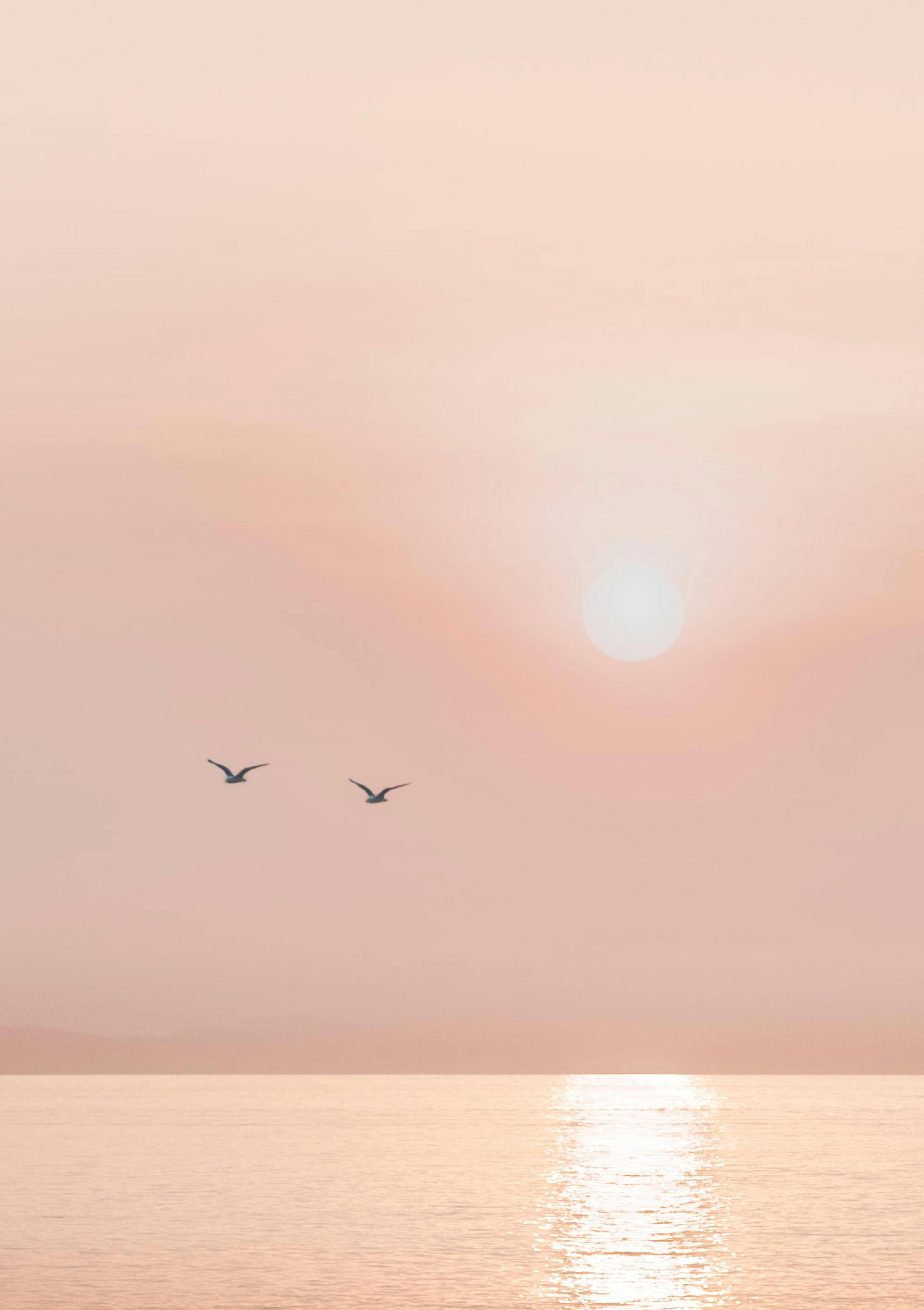 Mistige Horizon Poster thumbnail