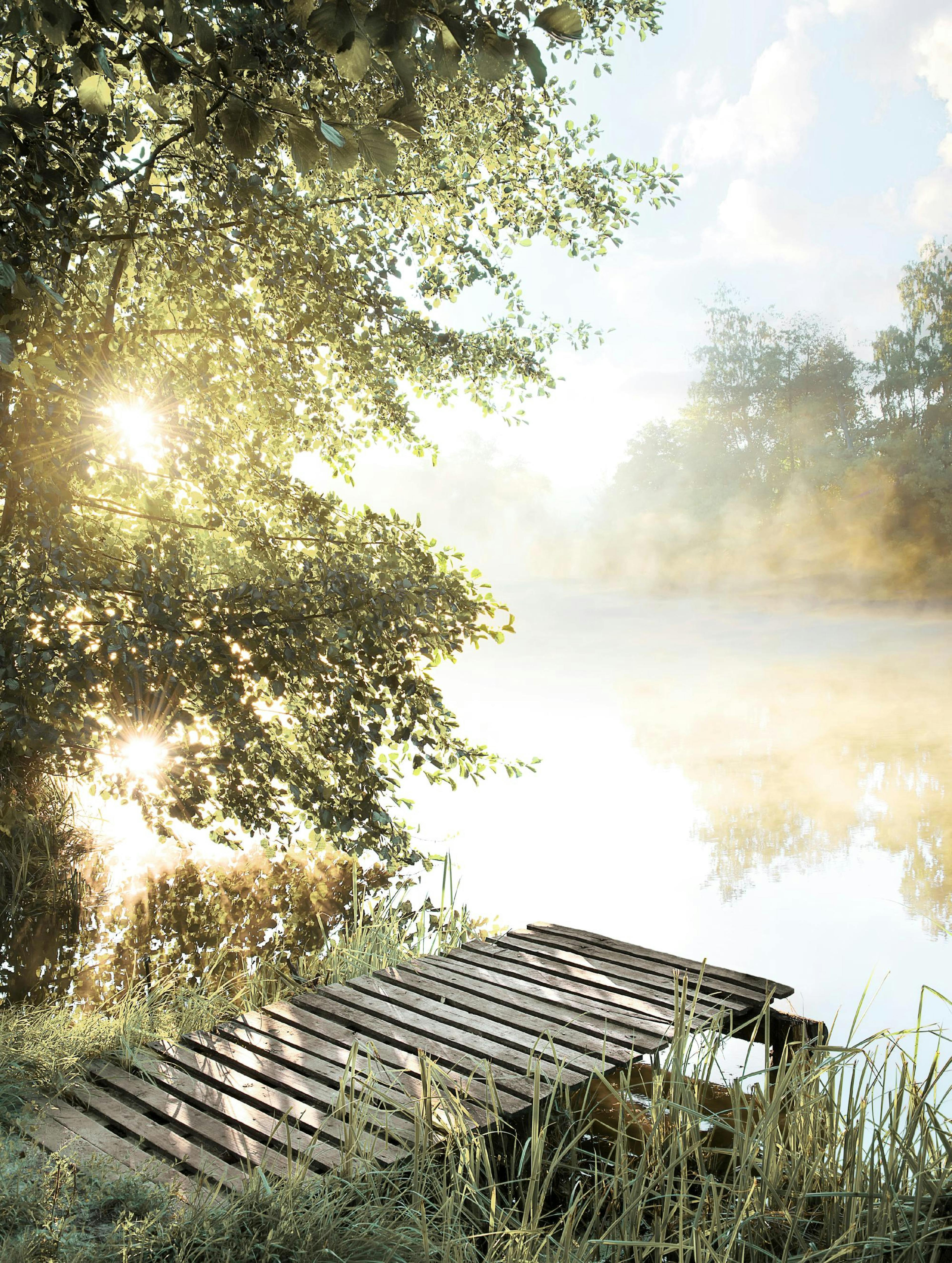 Foggy Summer Lake Poster 0