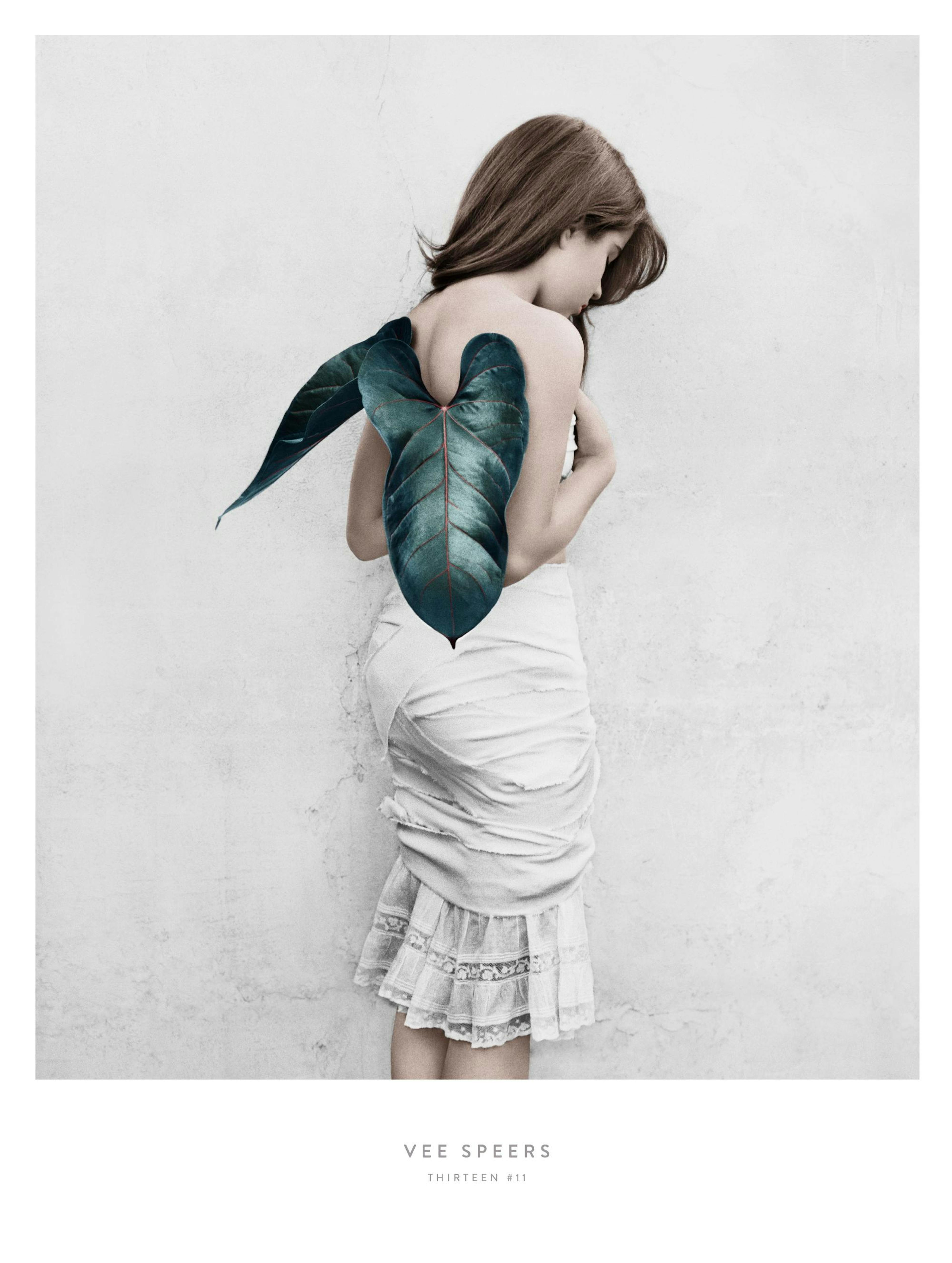 Vee Speers Thirteen #11 Plakat thumbnail