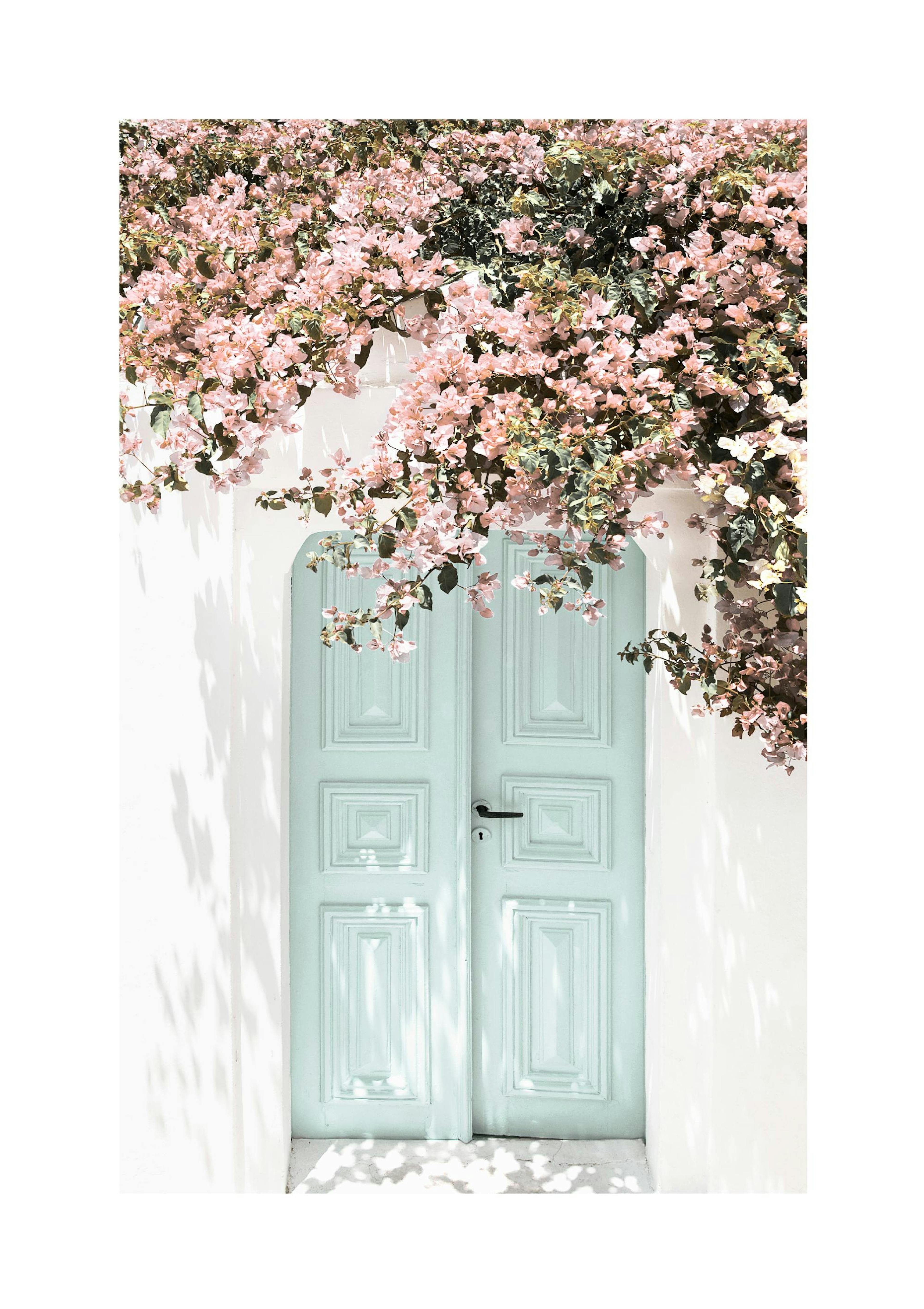 Portone Fiori Rosa Poster thumbnail
