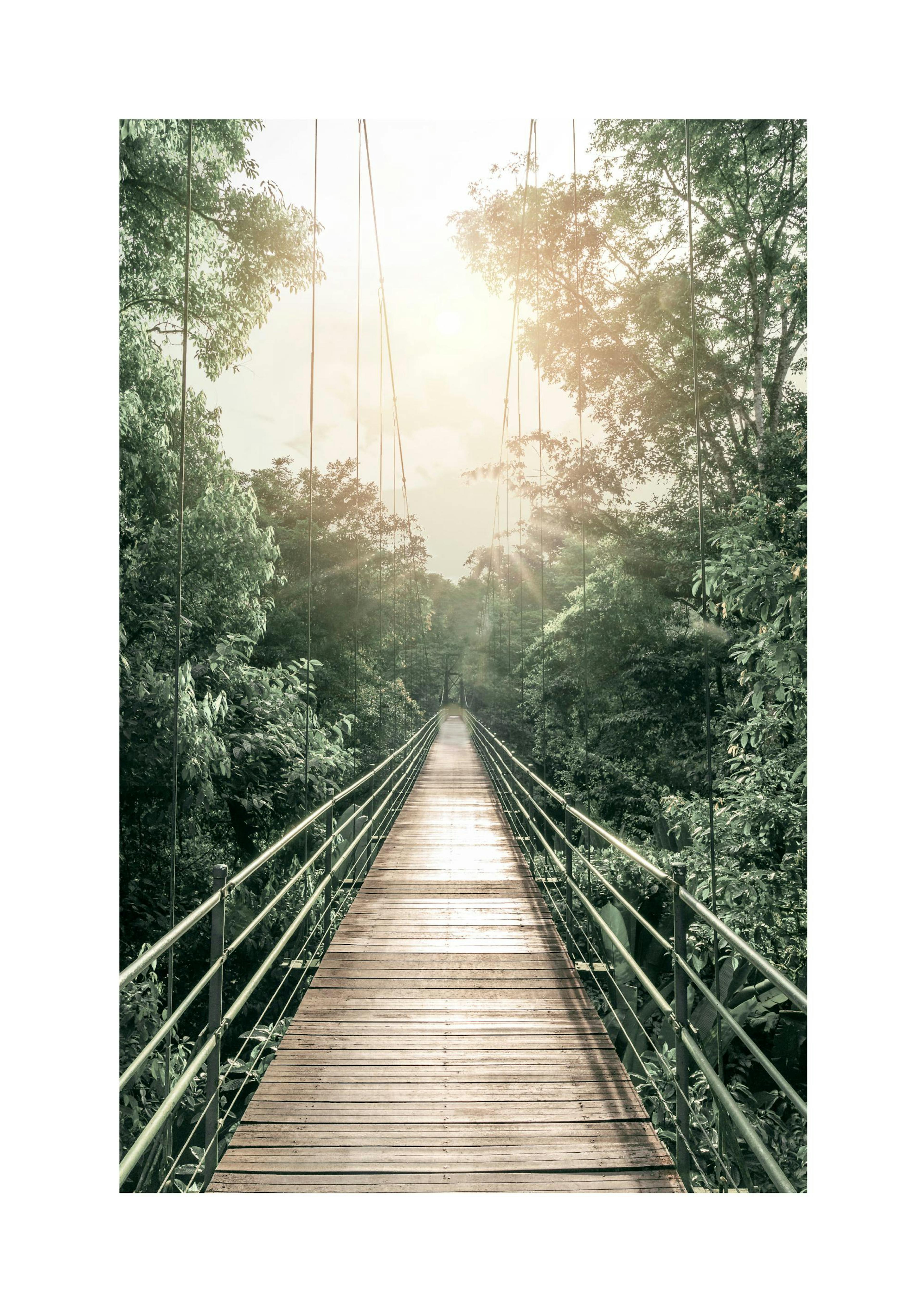Hanging Bridge Poster thumbnail