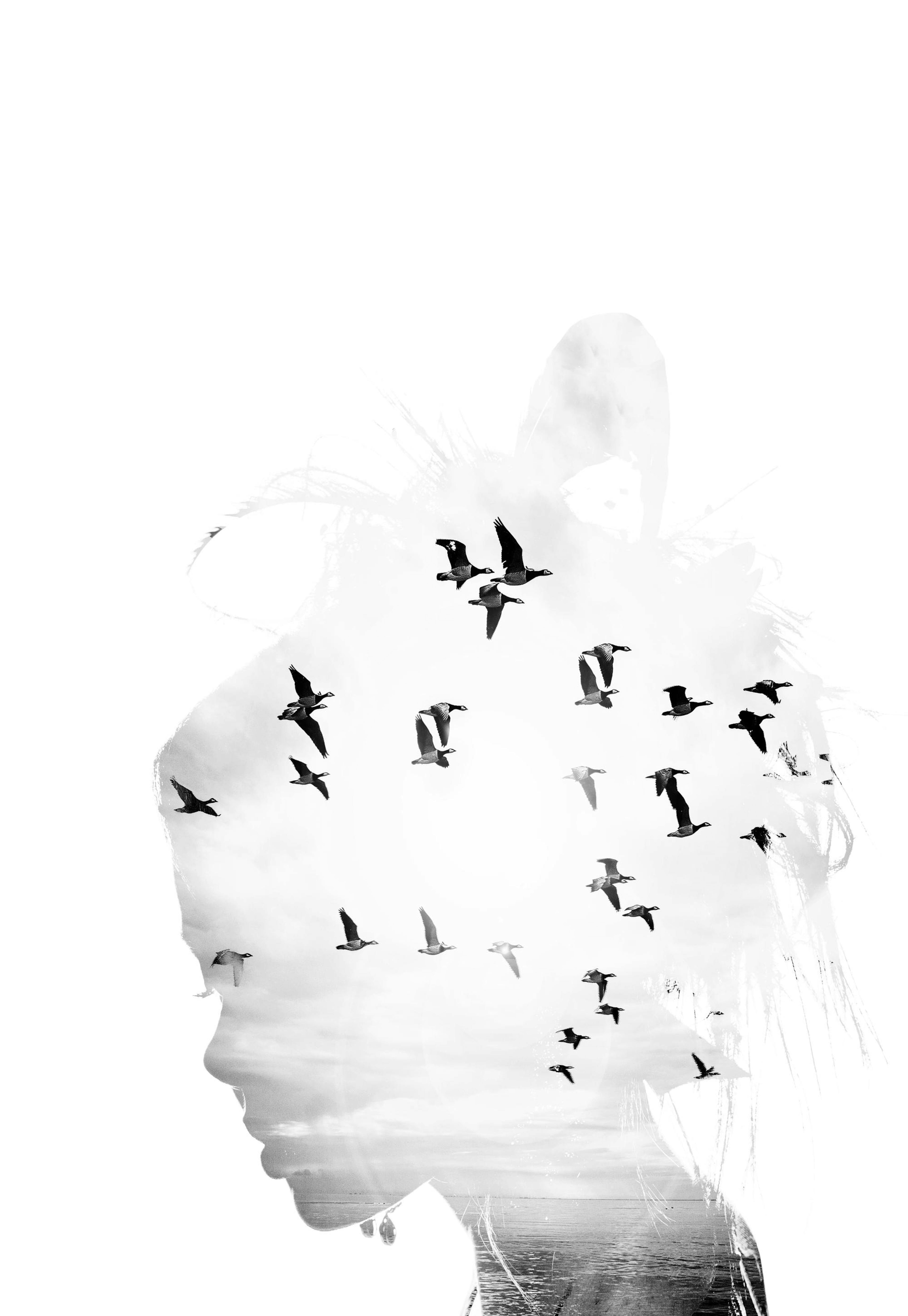 Dreamer. Affiche 0