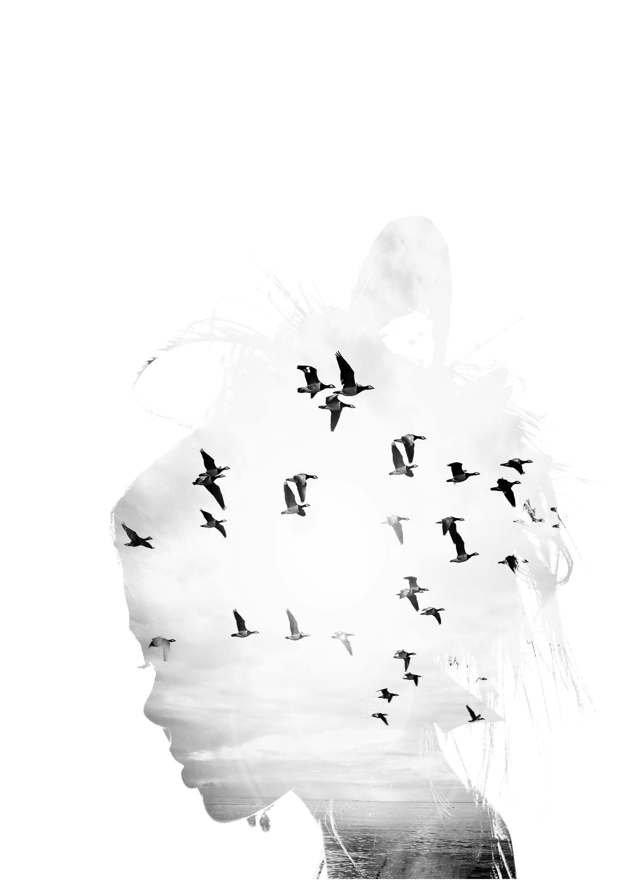 Dreamer Poster (21x30 cm) - Poster Store