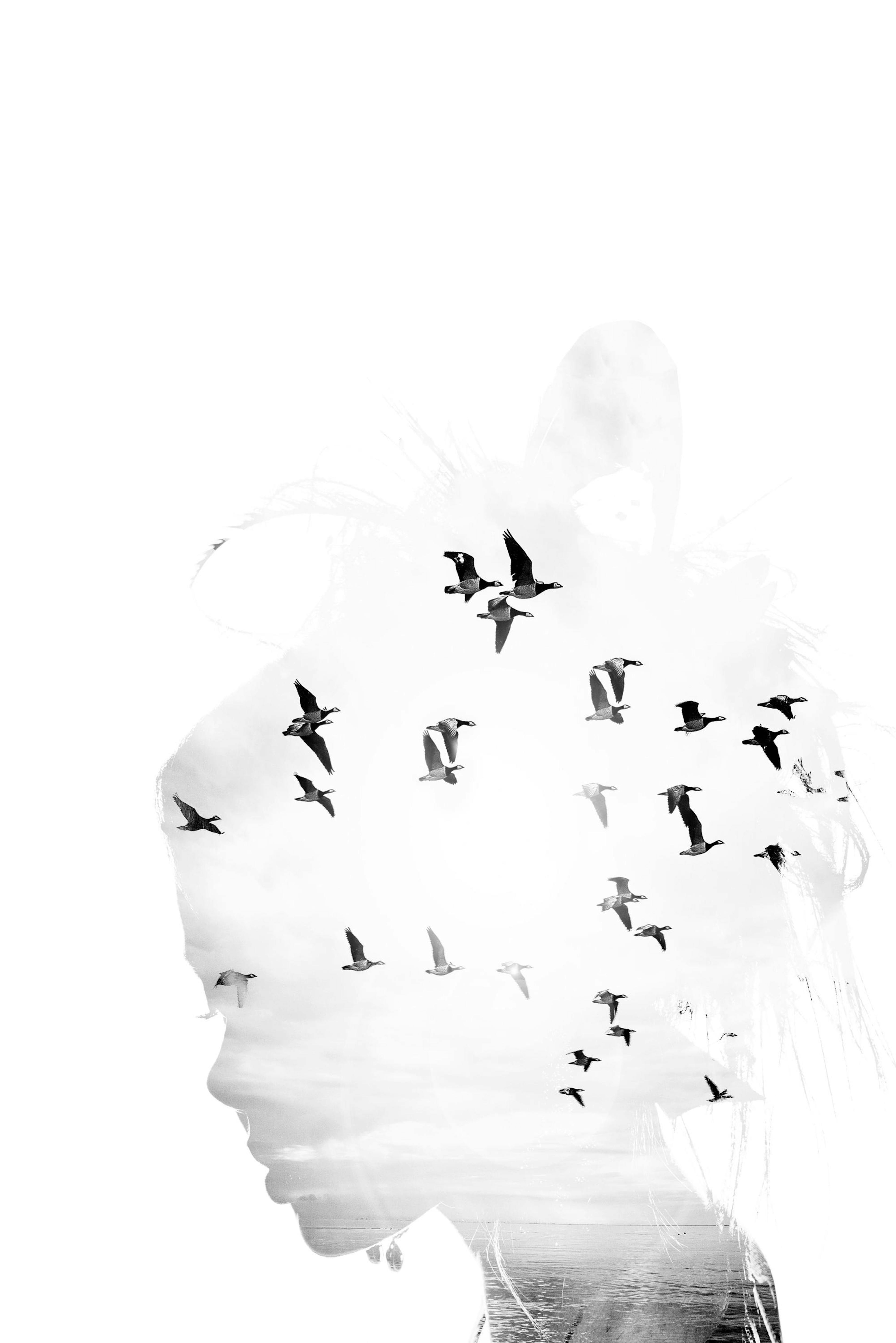 Plakat Dreamer thumbnail