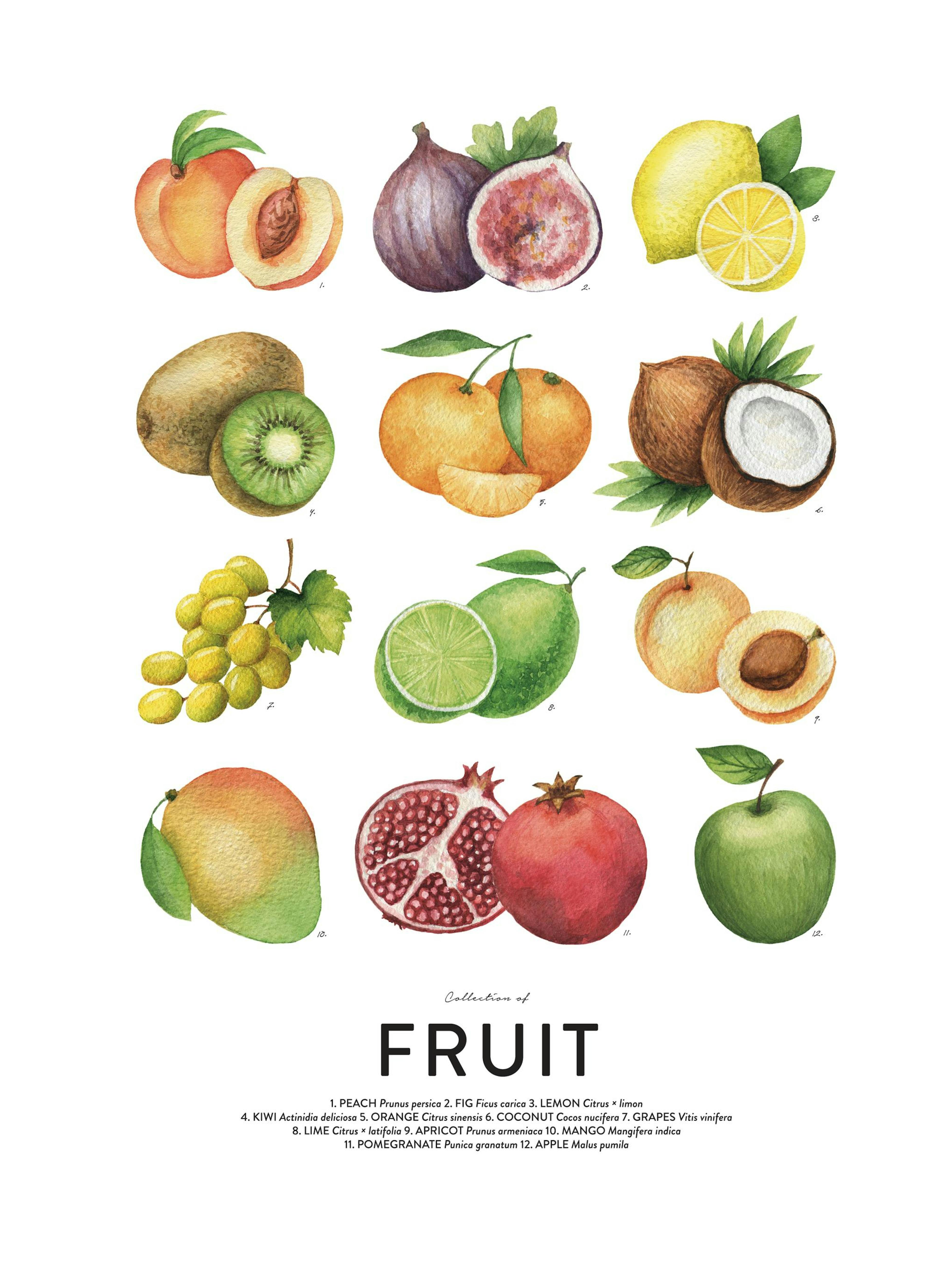 Früchte Poster thumbnail