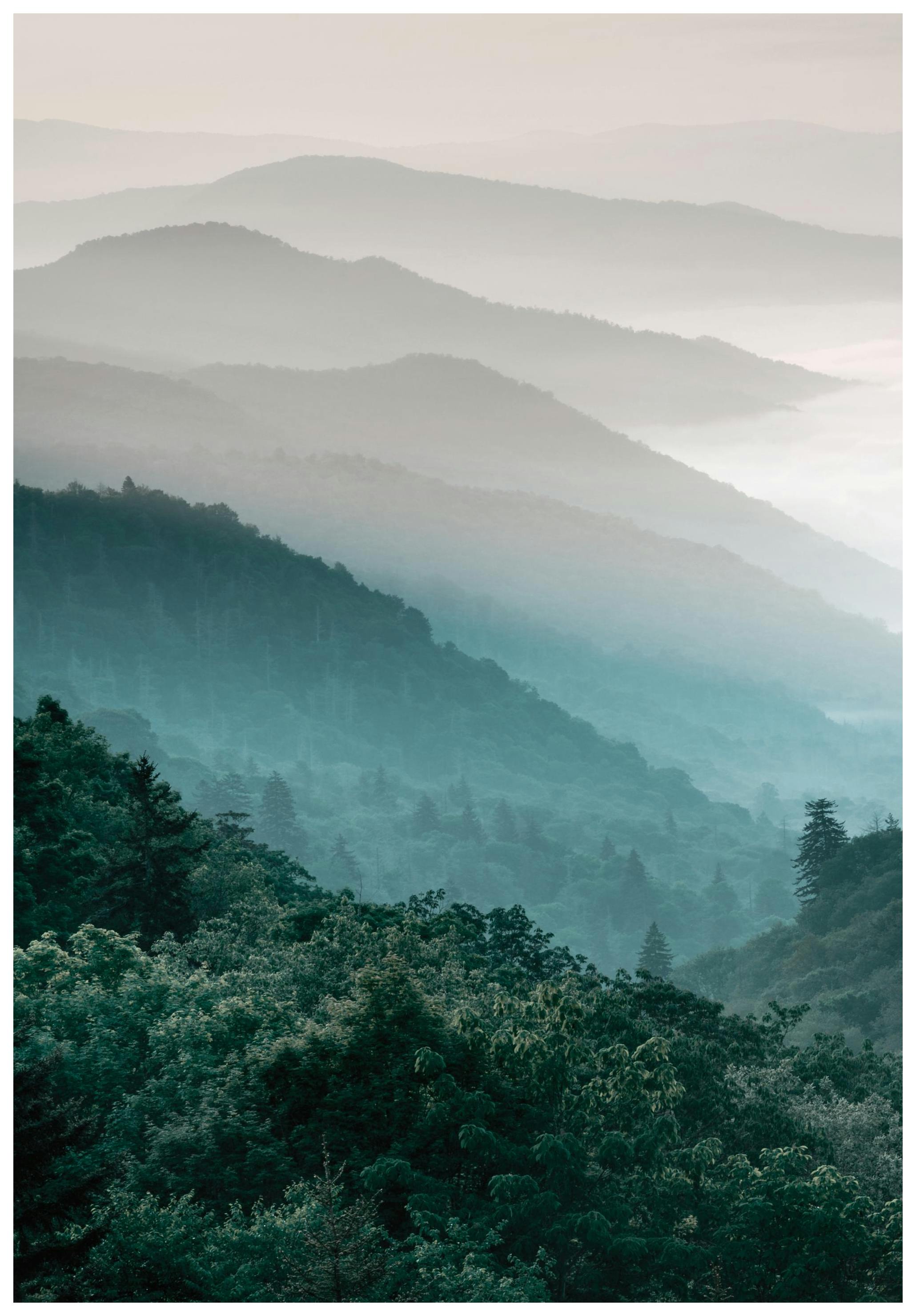 Forest hills Poster (21x30 cm) - Poster Store