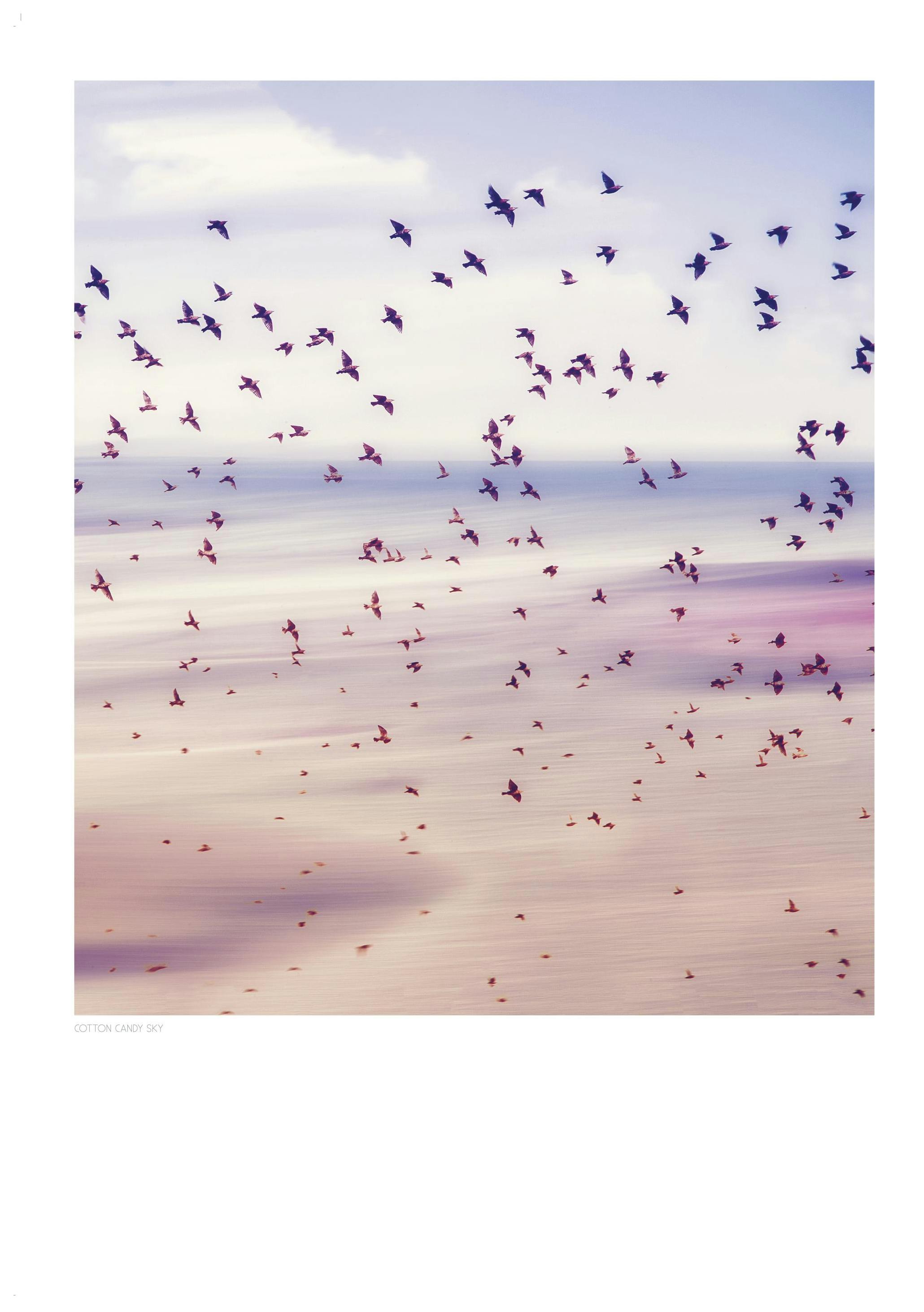 Spring Migration Poster (40x50 cm) - Poster Store