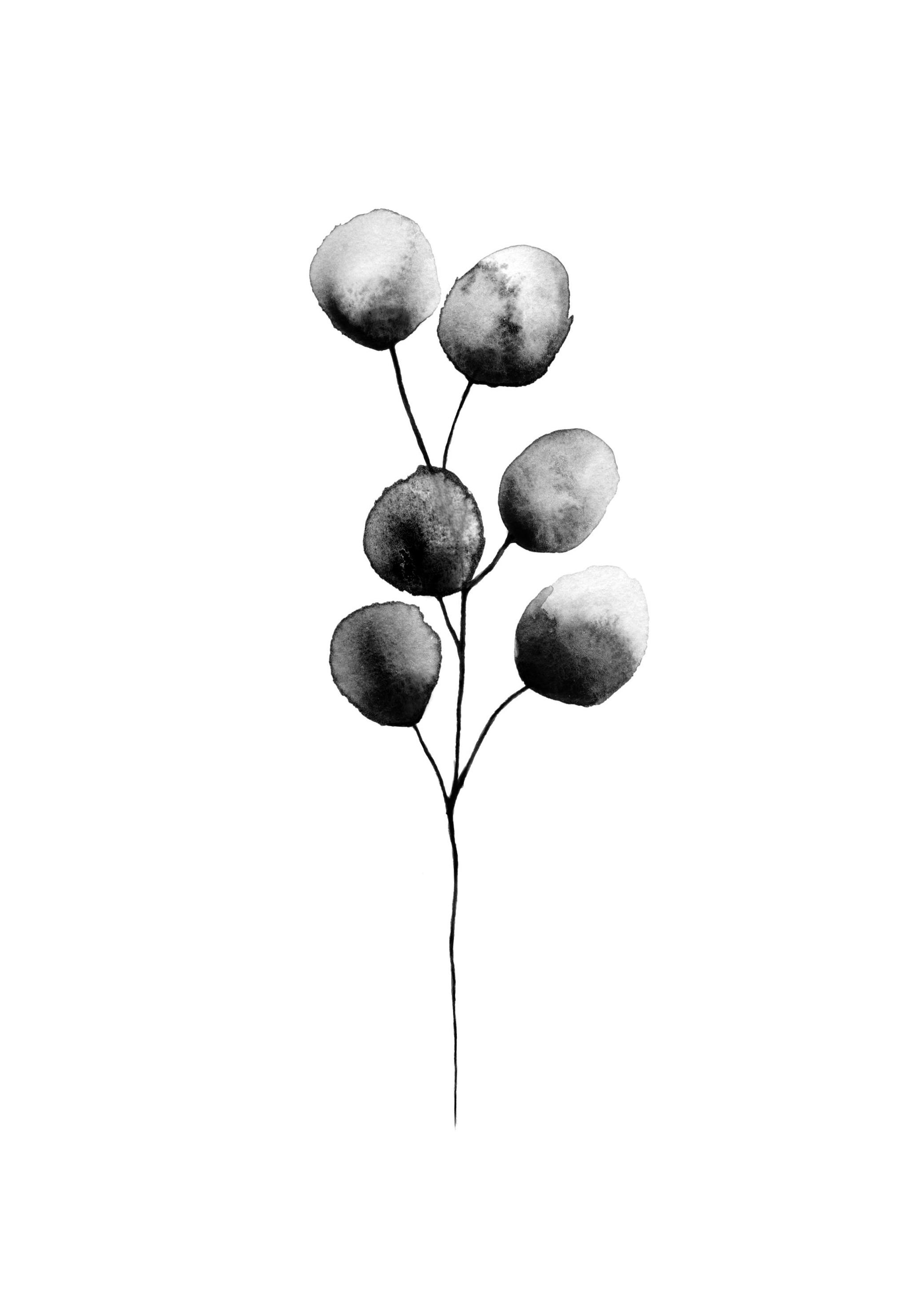 Eucalyptus akvarell Poster (13x18 cm) - Poster Store