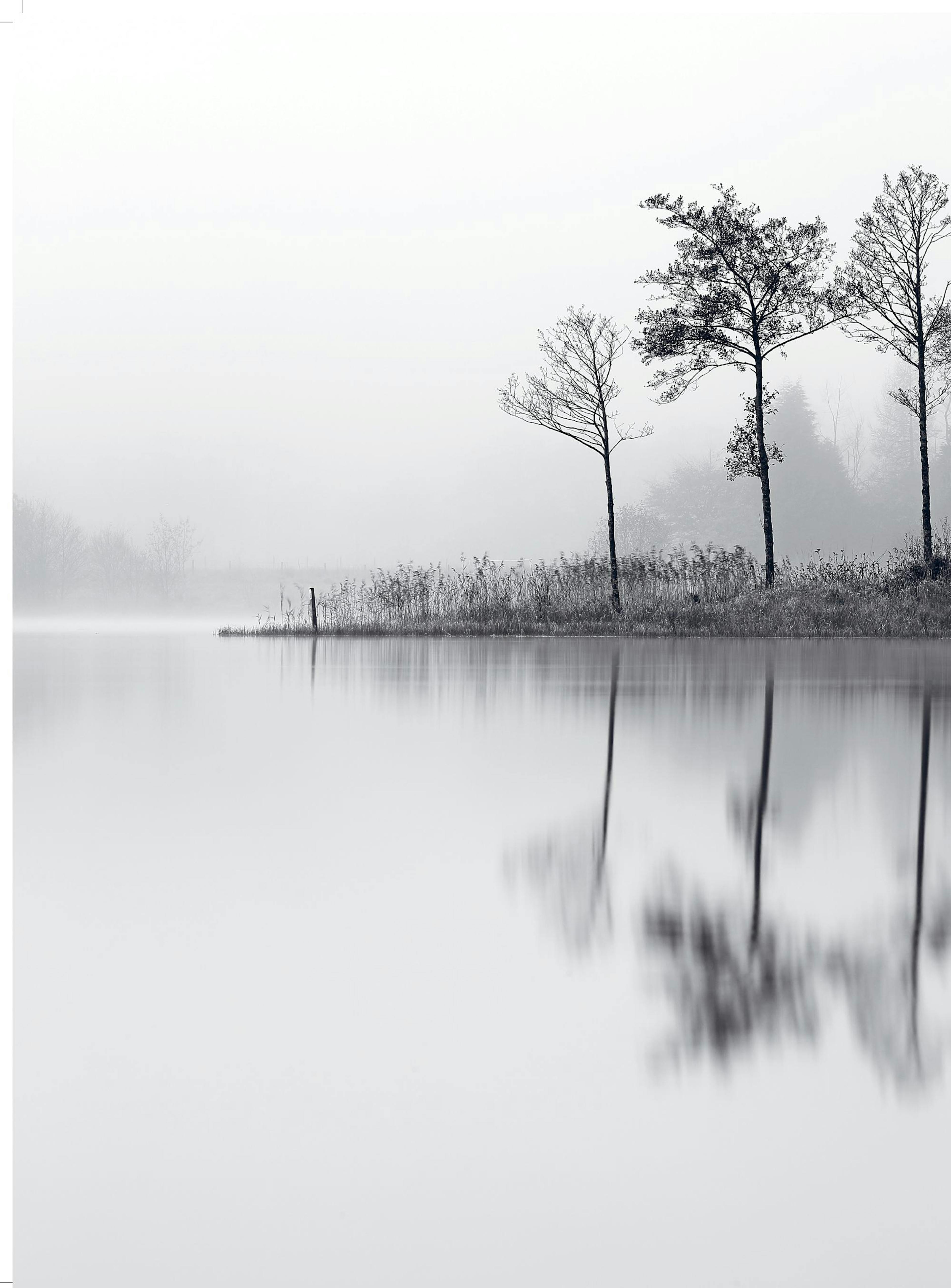 Stillness Poster 0