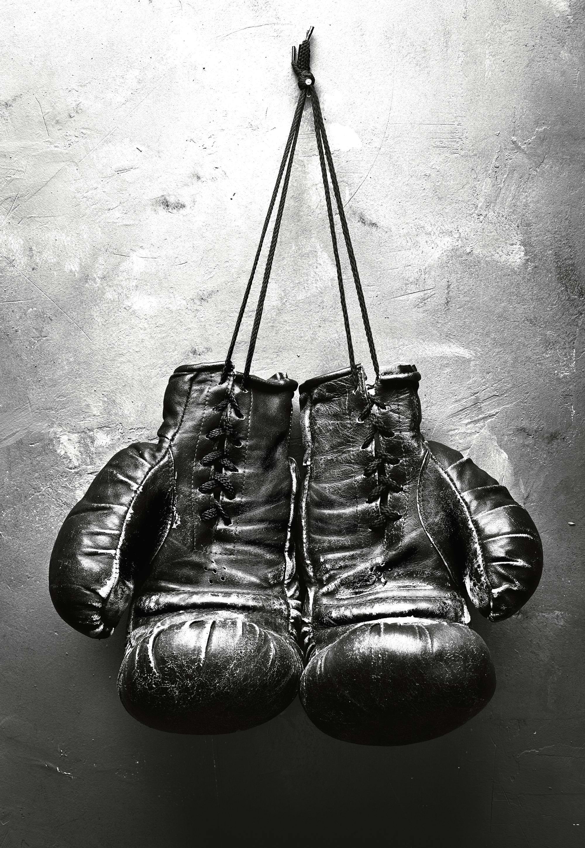 Guantes de Boxeo Póster 0