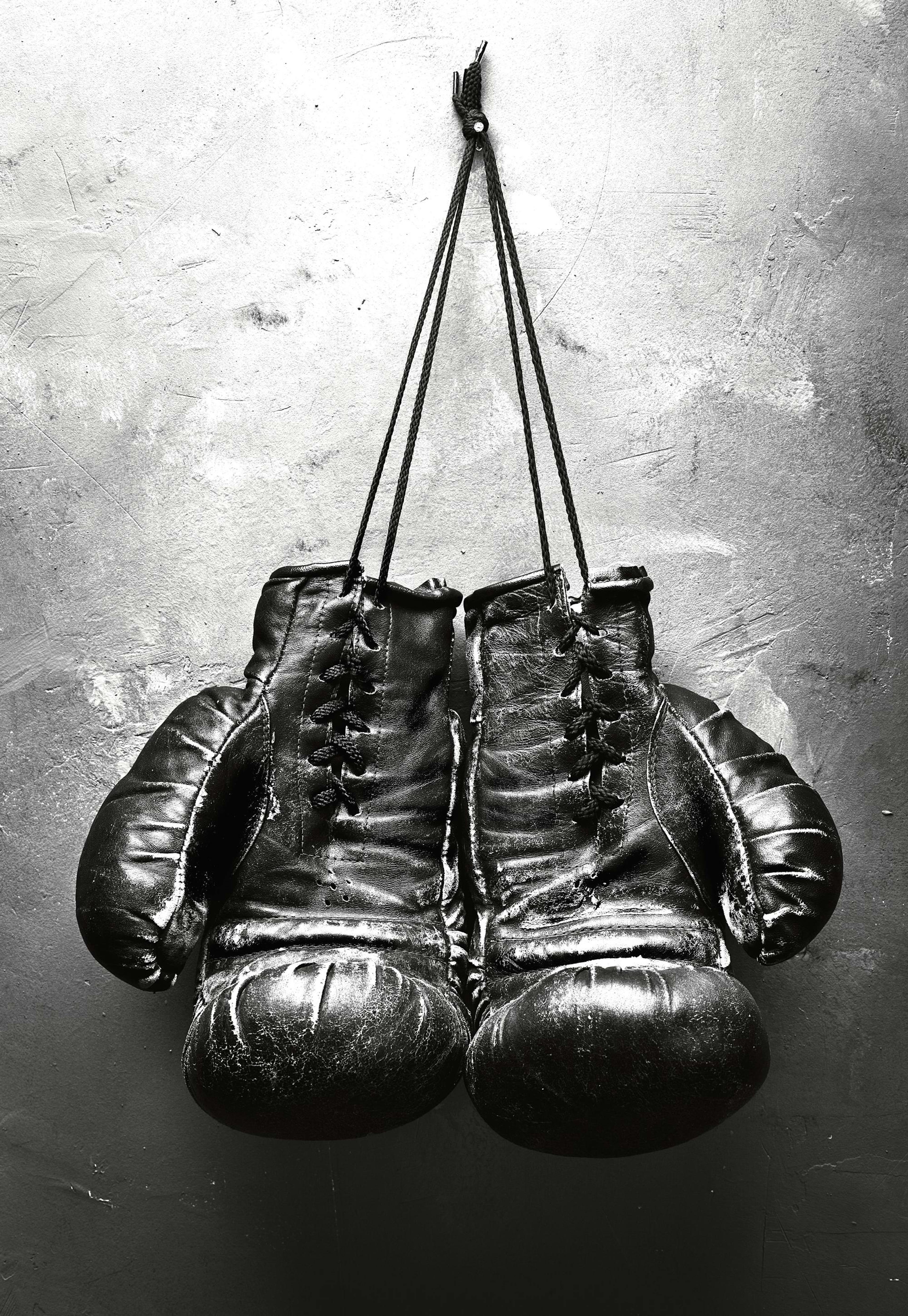 Boxing Gloves Plakat 0