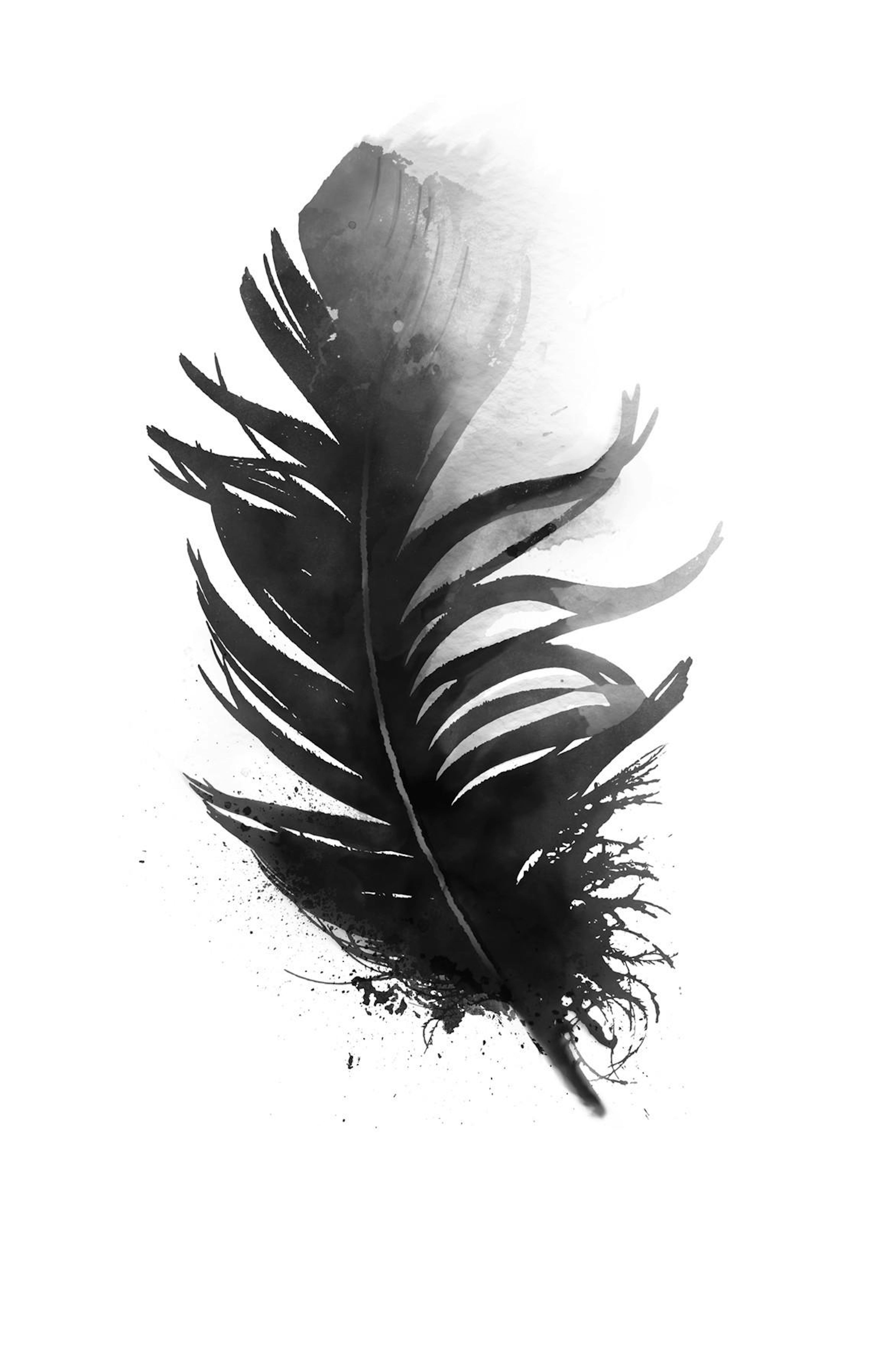 Schwarze Feder Aquarell Poster thumbnail