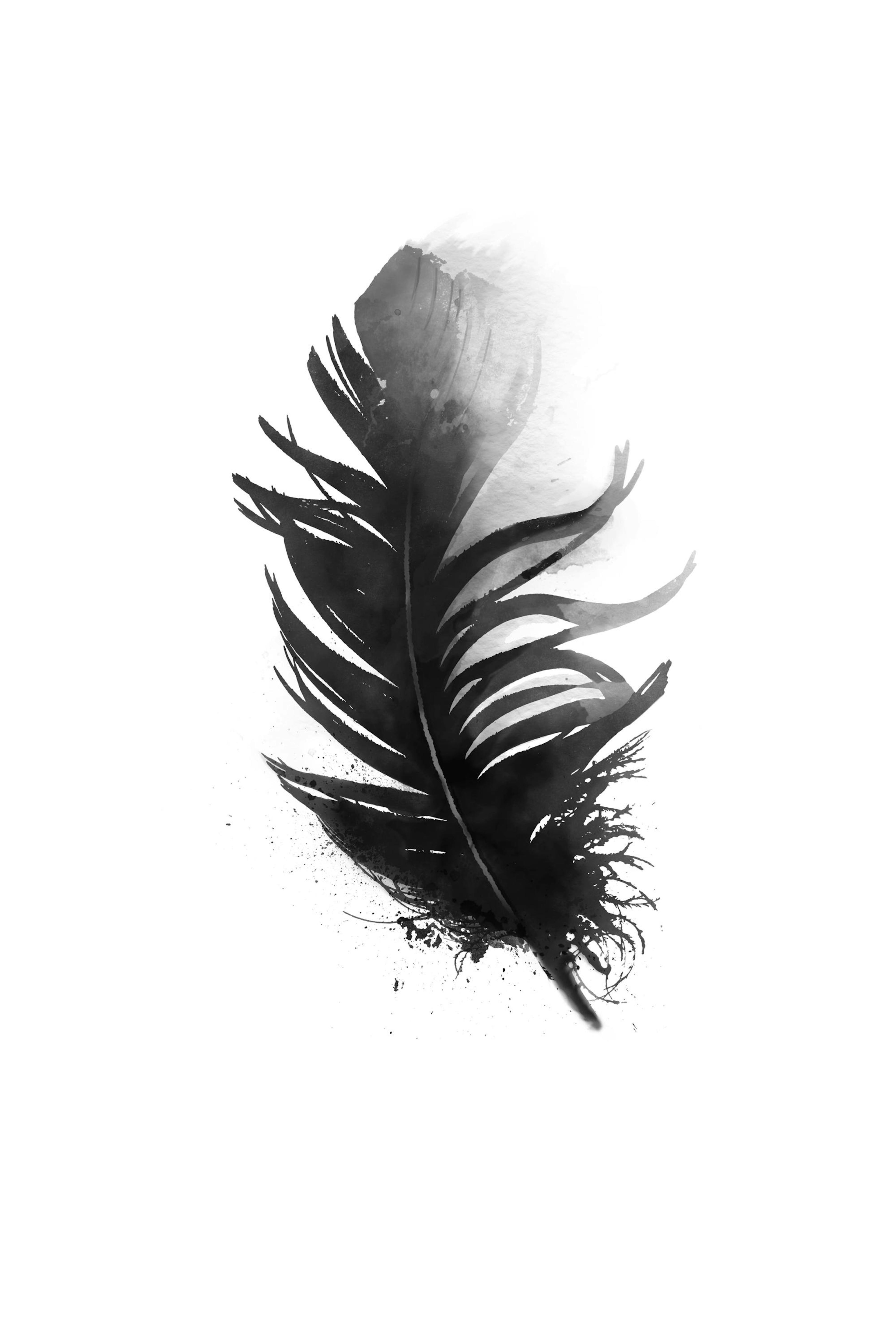 Schwarze Feder Aquarell Poster thumbnail