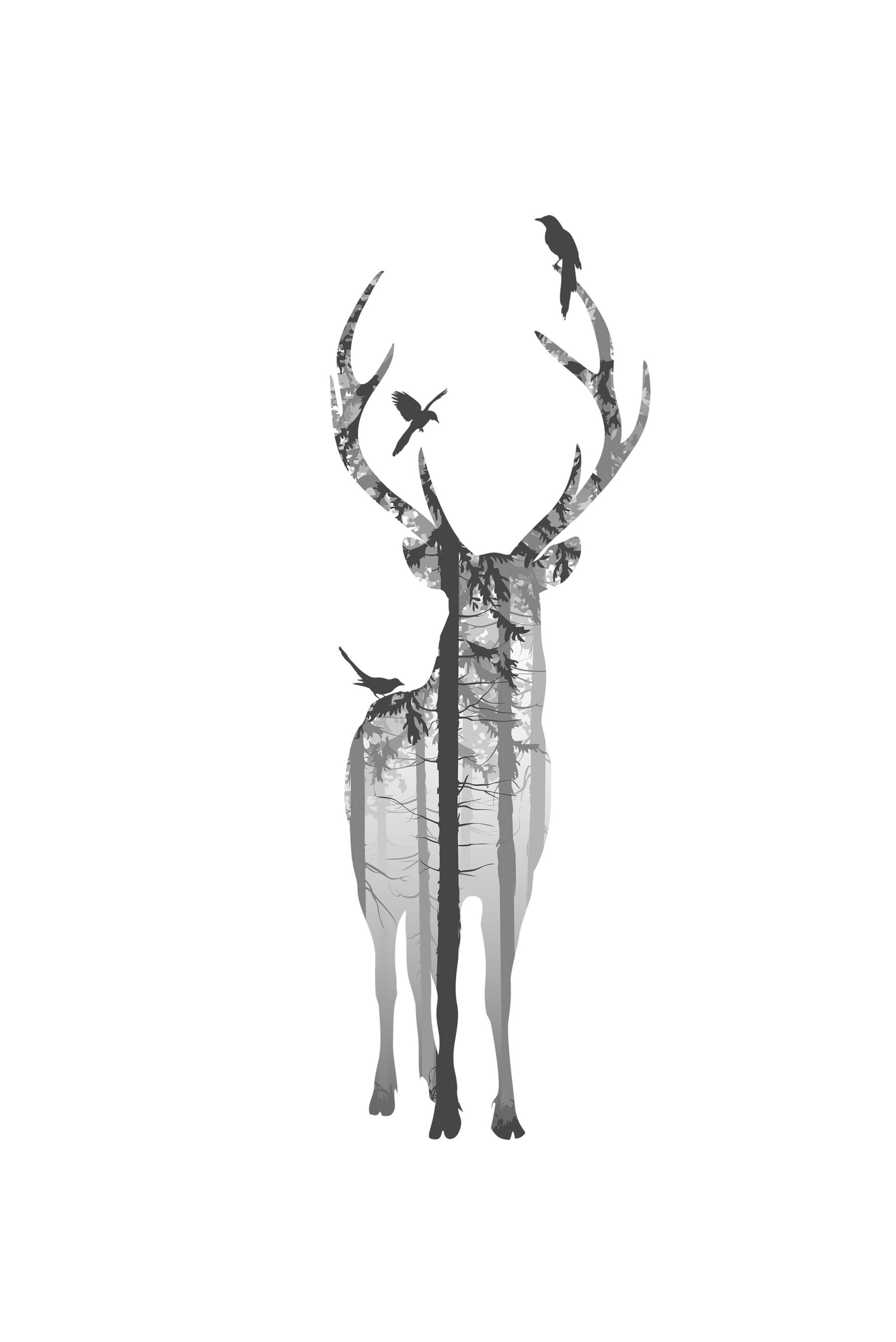 Deer Poster thumbnail