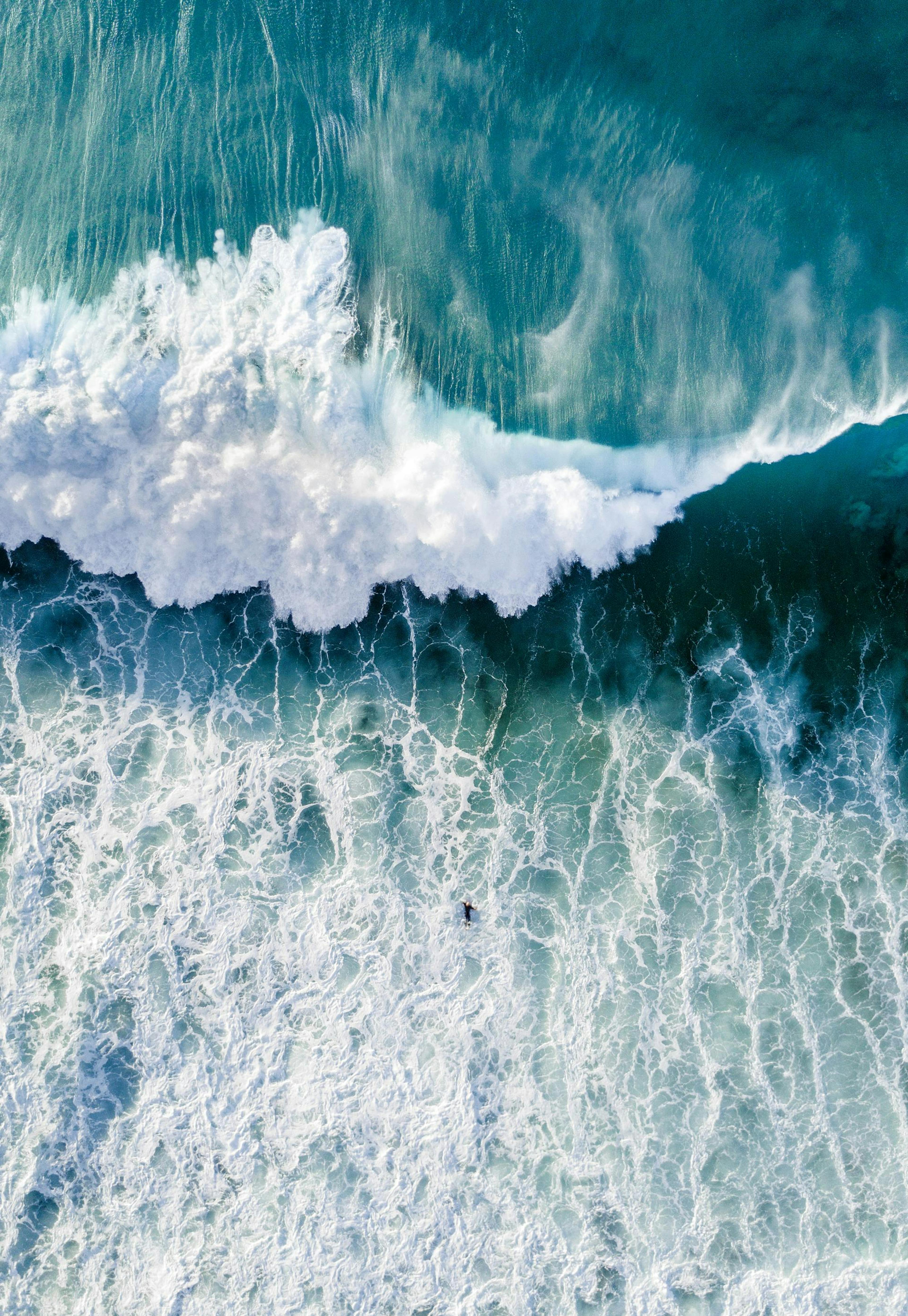 Surfers wave Poster 0