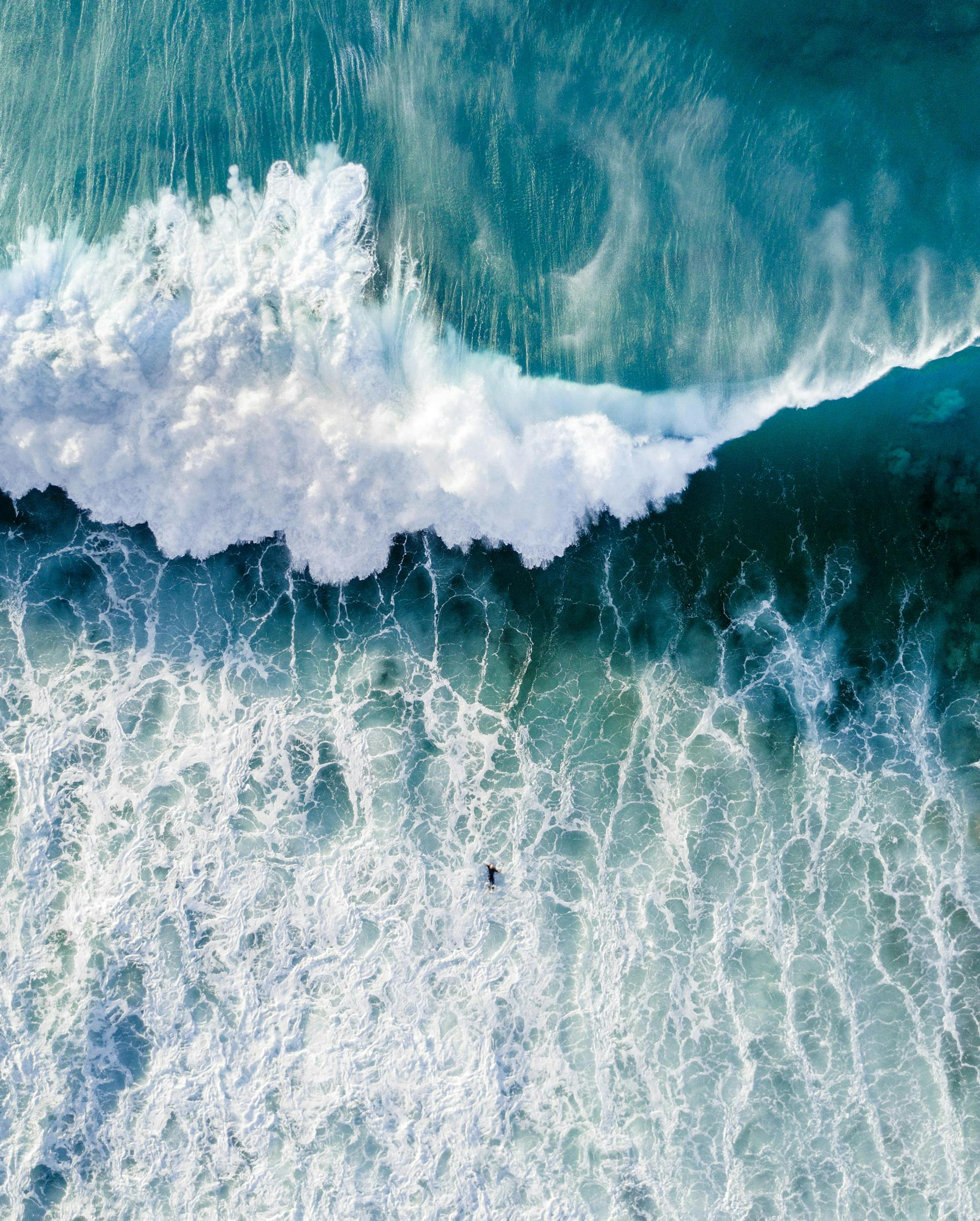 Surfers wave Poster thumbnail