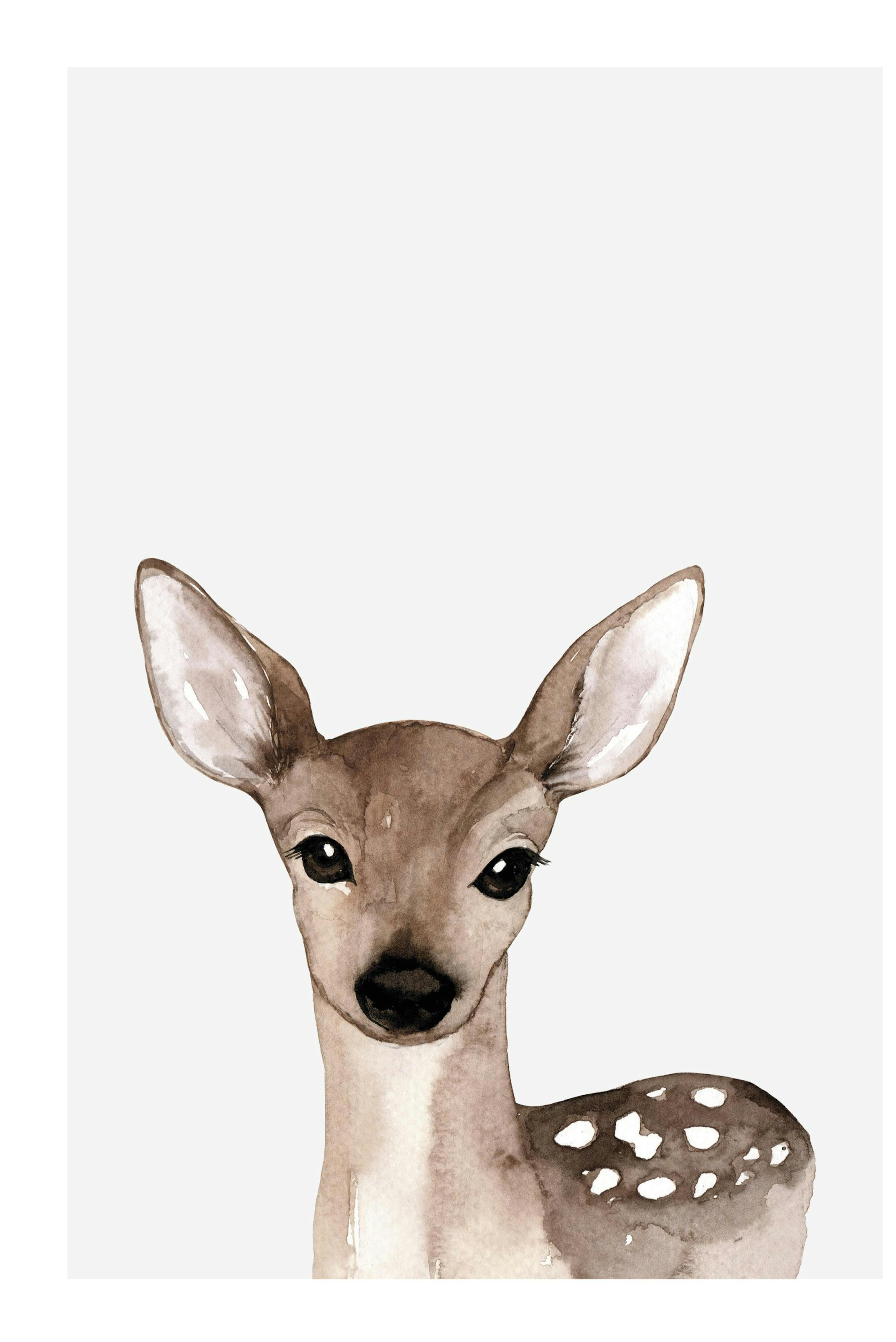 Little Deer Poster thumbnail